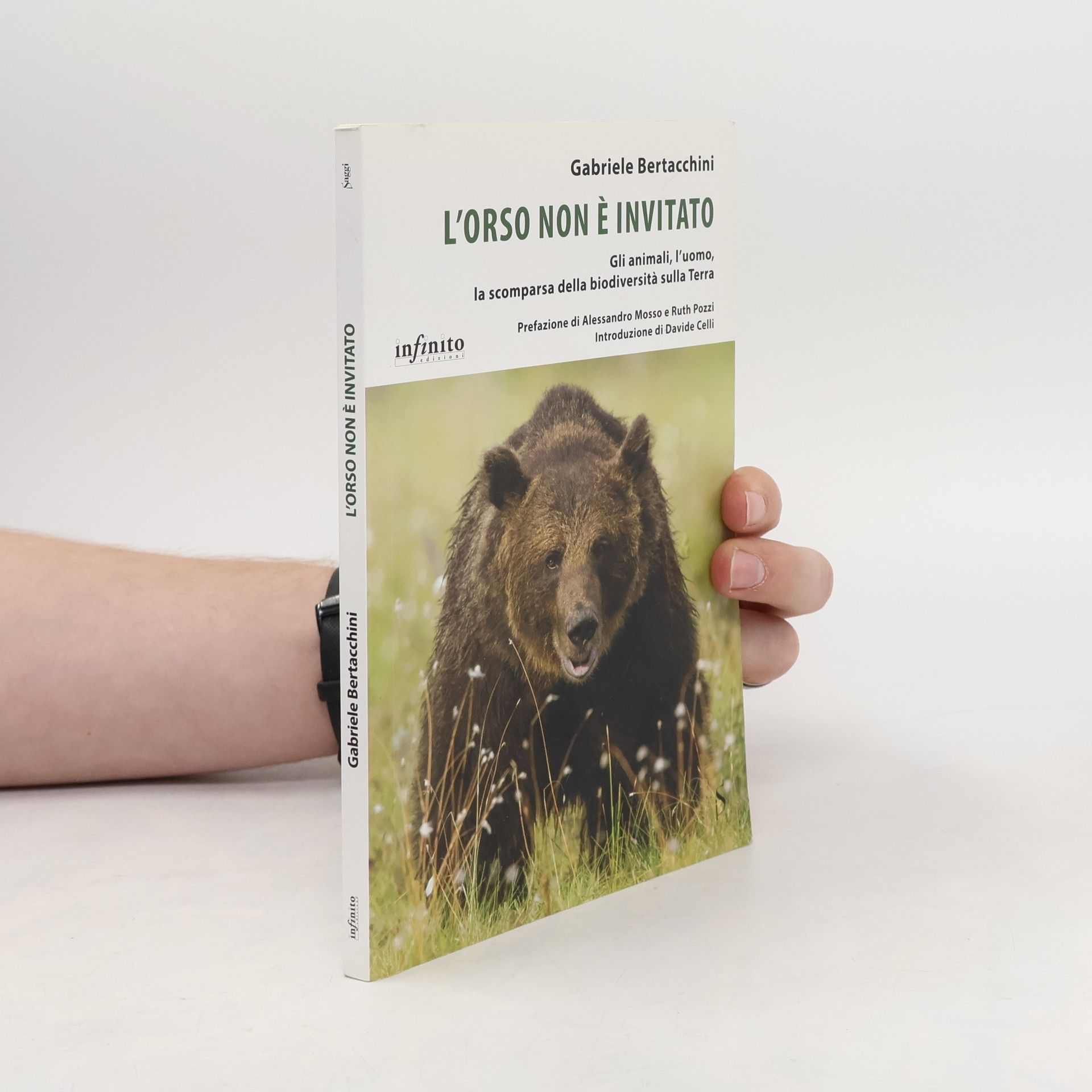 Davide Celli L'orso non è invitato