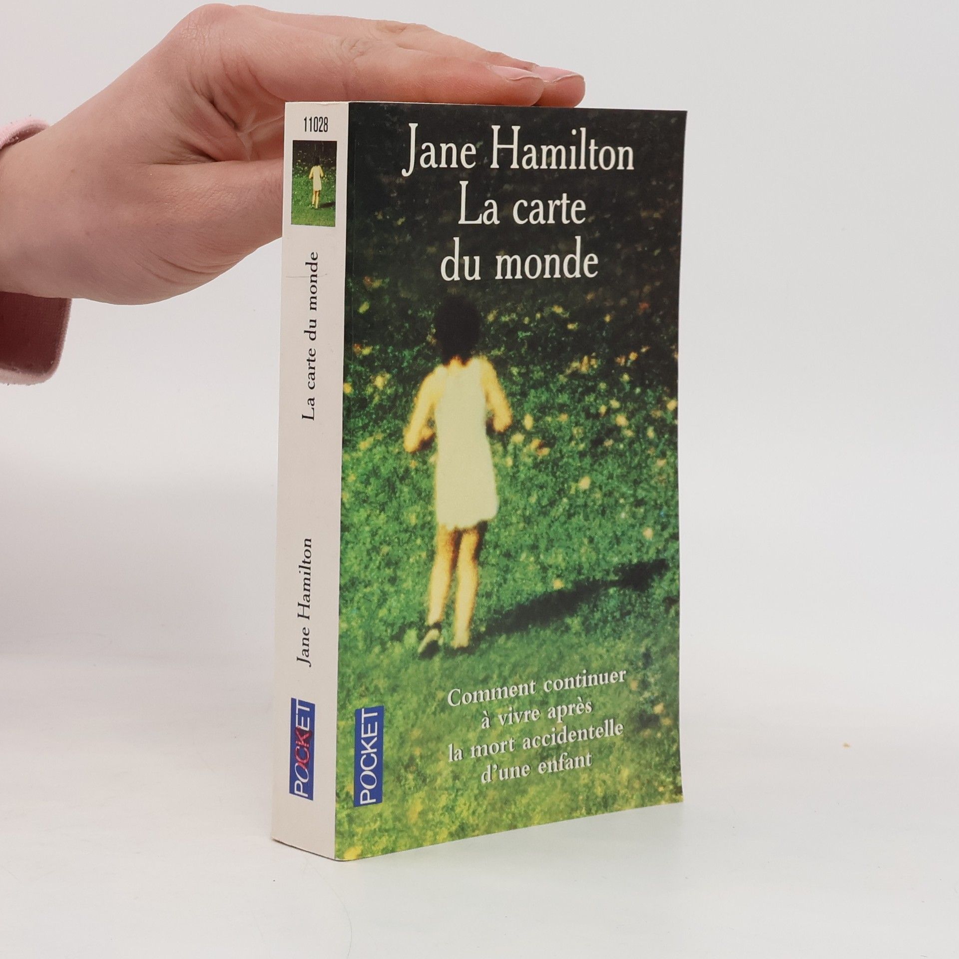 Jane Hamilton La carte du monde