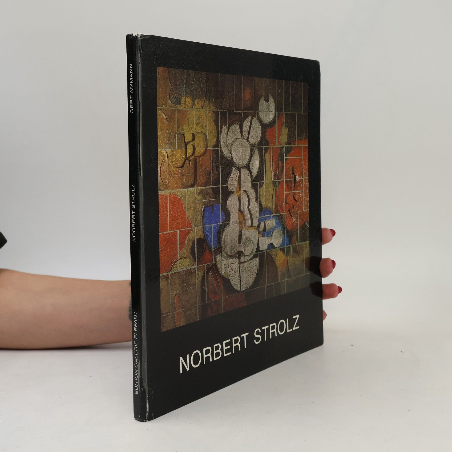 Gert Ammann Norbert Strolz