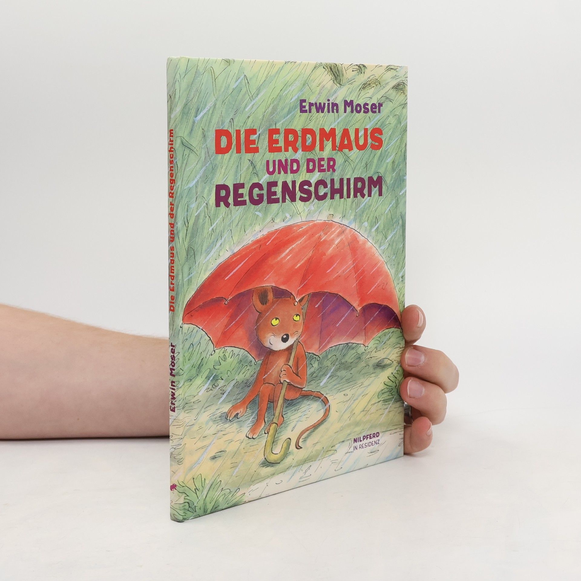 Die Erdmaus und der Regenschirm