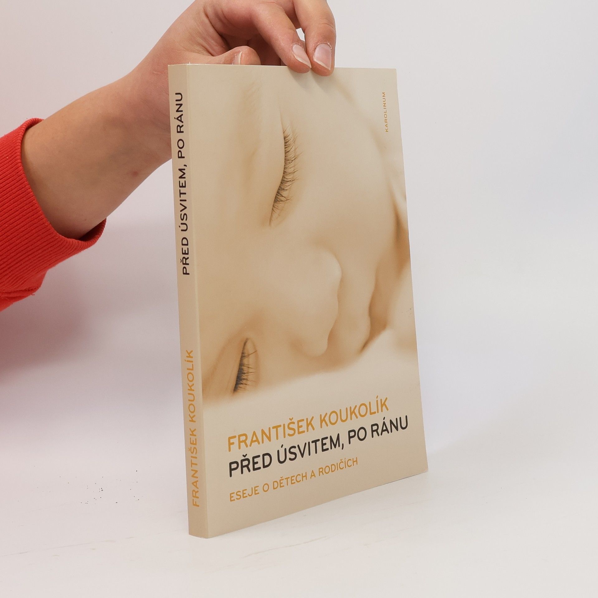 František Koukolík Před úsvitem, po ránu