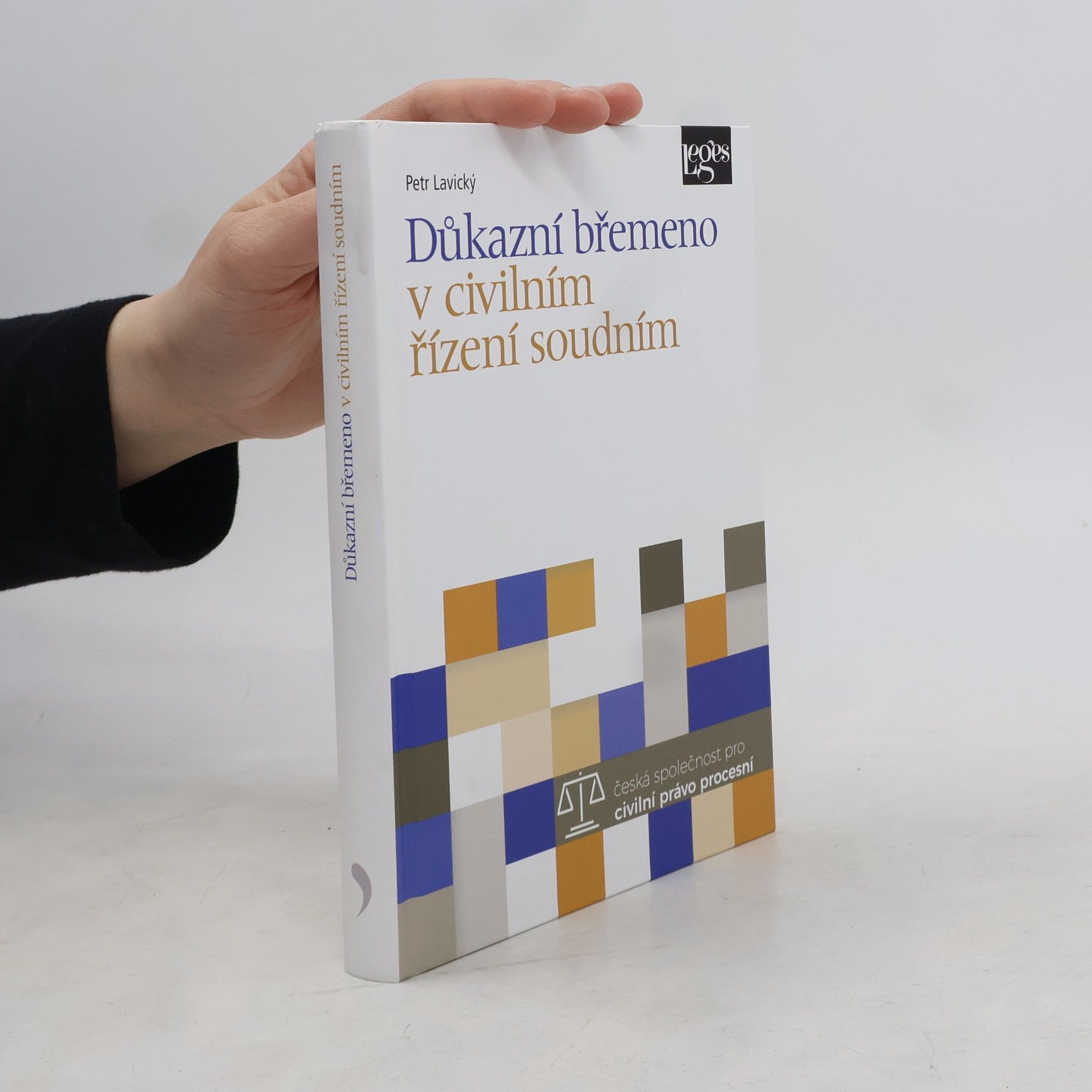 Důkazní břemeno v civilním řízení soudním