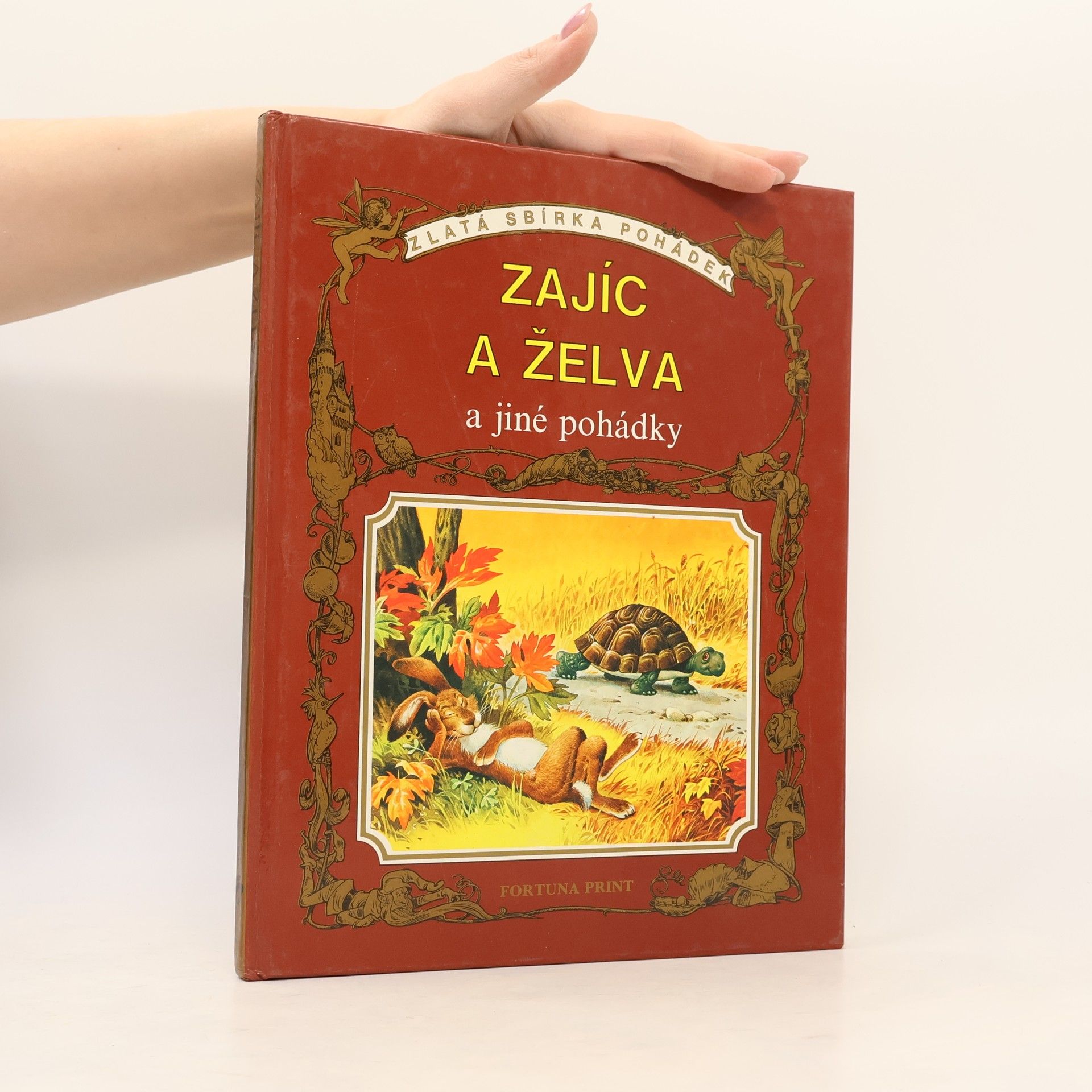 Autorenkollektiv Zajíc a želva a jiné pohádky