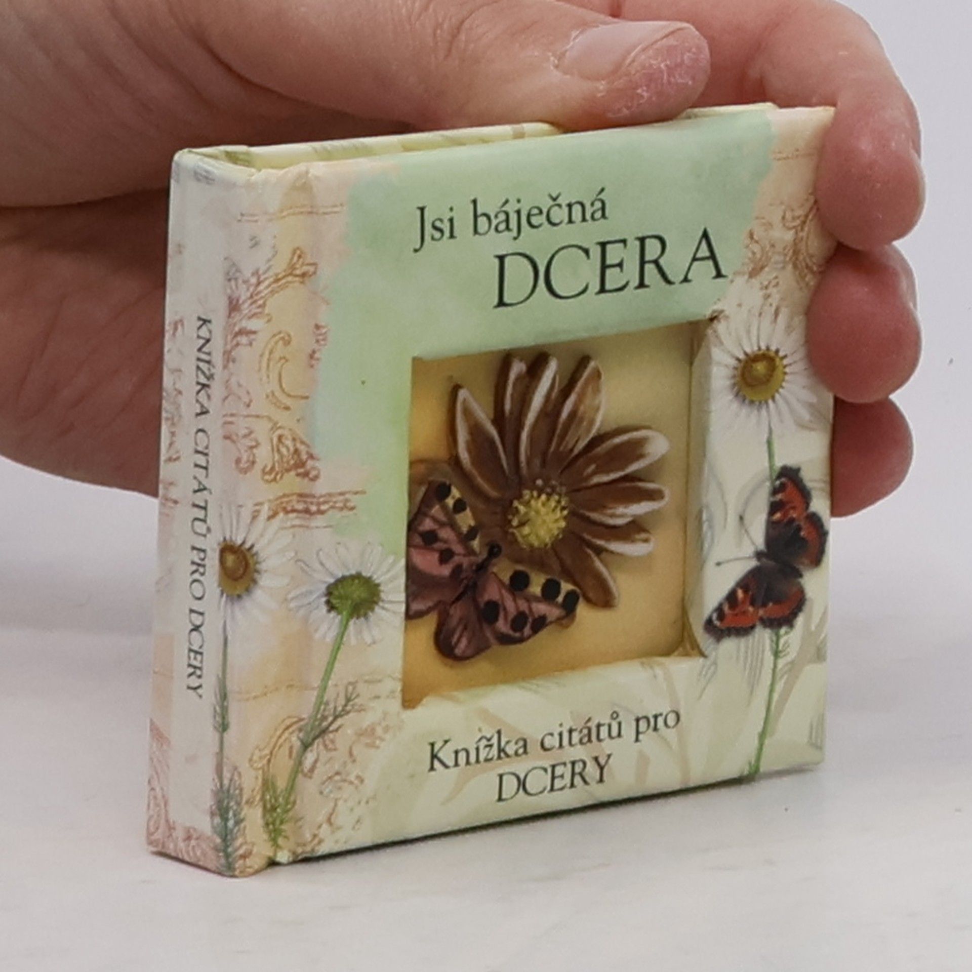 Kolektiv autorů Jsi báječná dcera