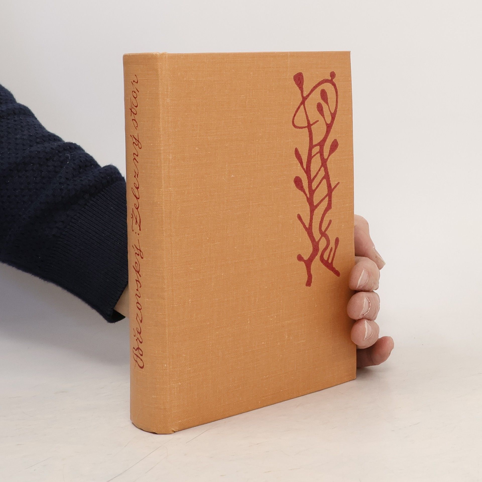 Bohuslav Březovský Železný strop