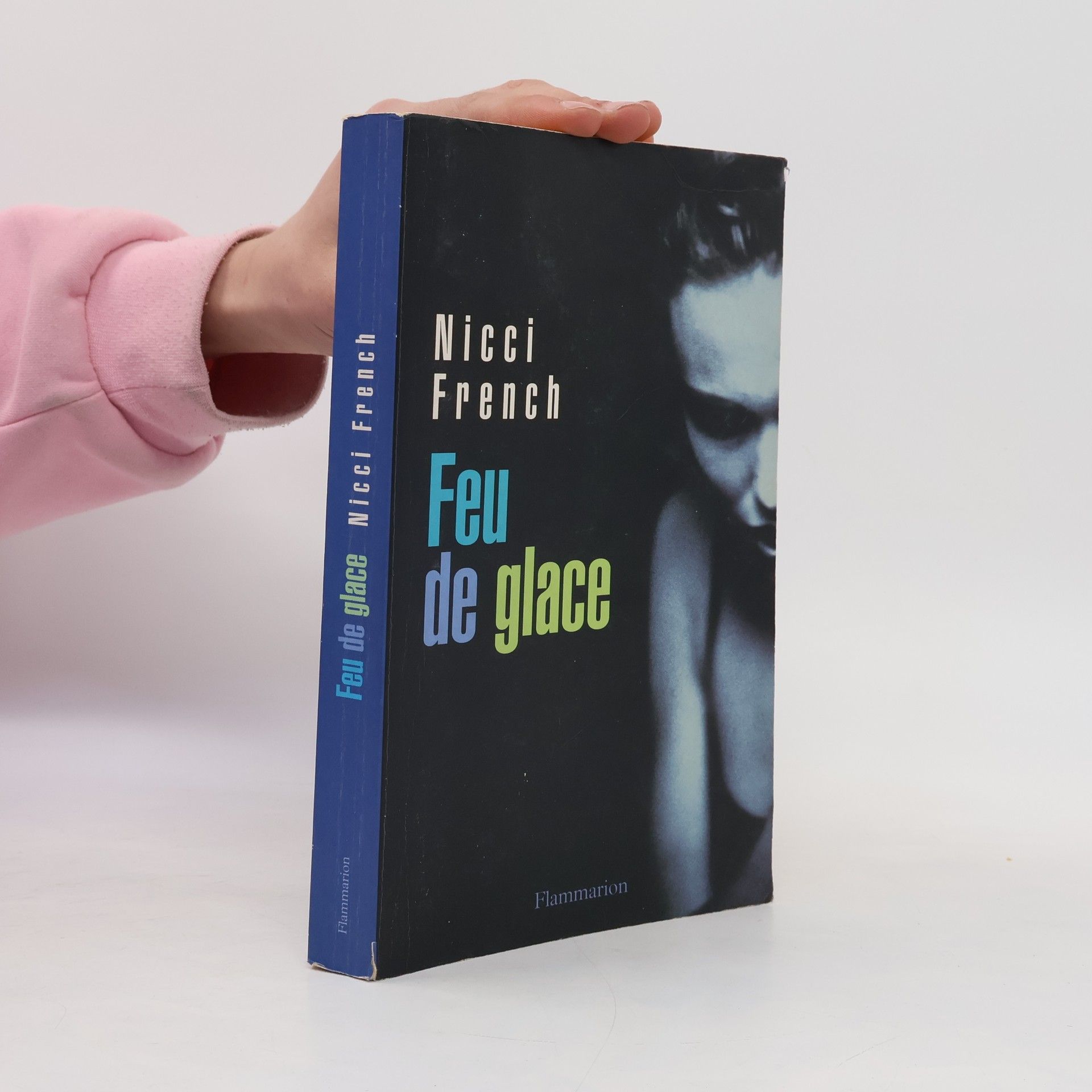 Nicci French Feu de glace