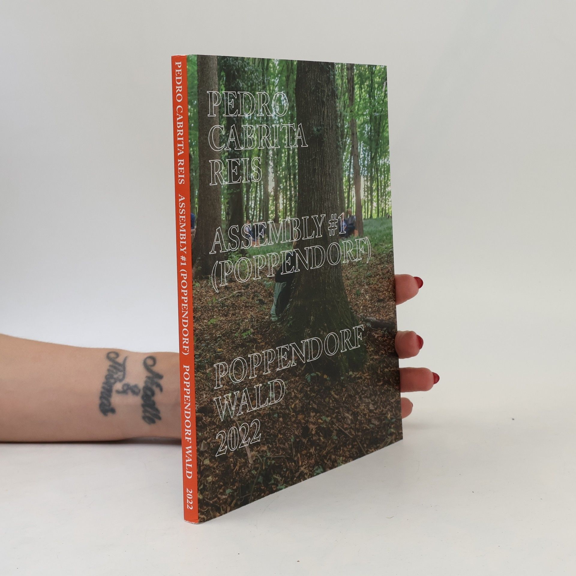 Pedro Cabrita Reis - Assembly # 1 (Poppendorf)