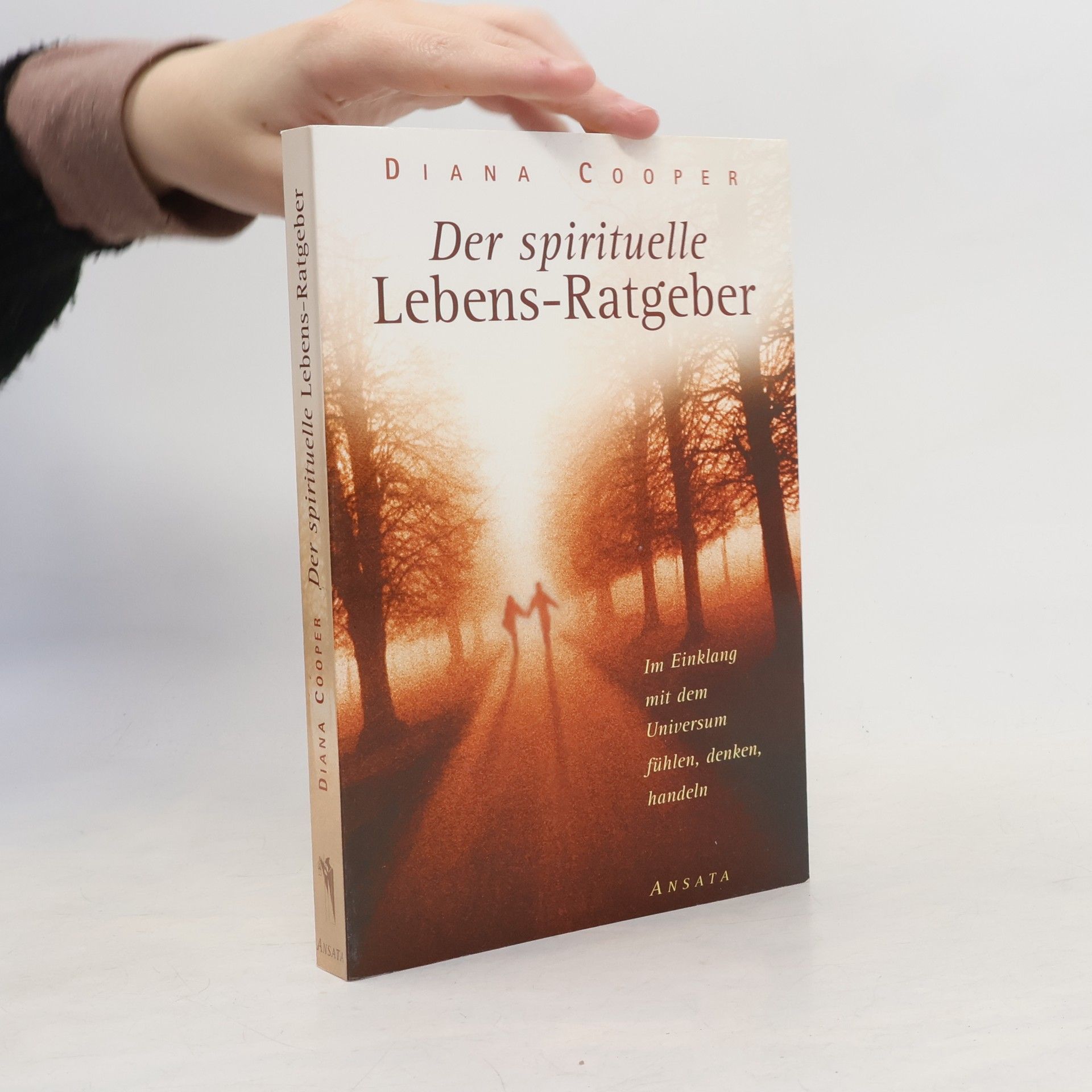 Der spirituelle Lebens-Ratgeber