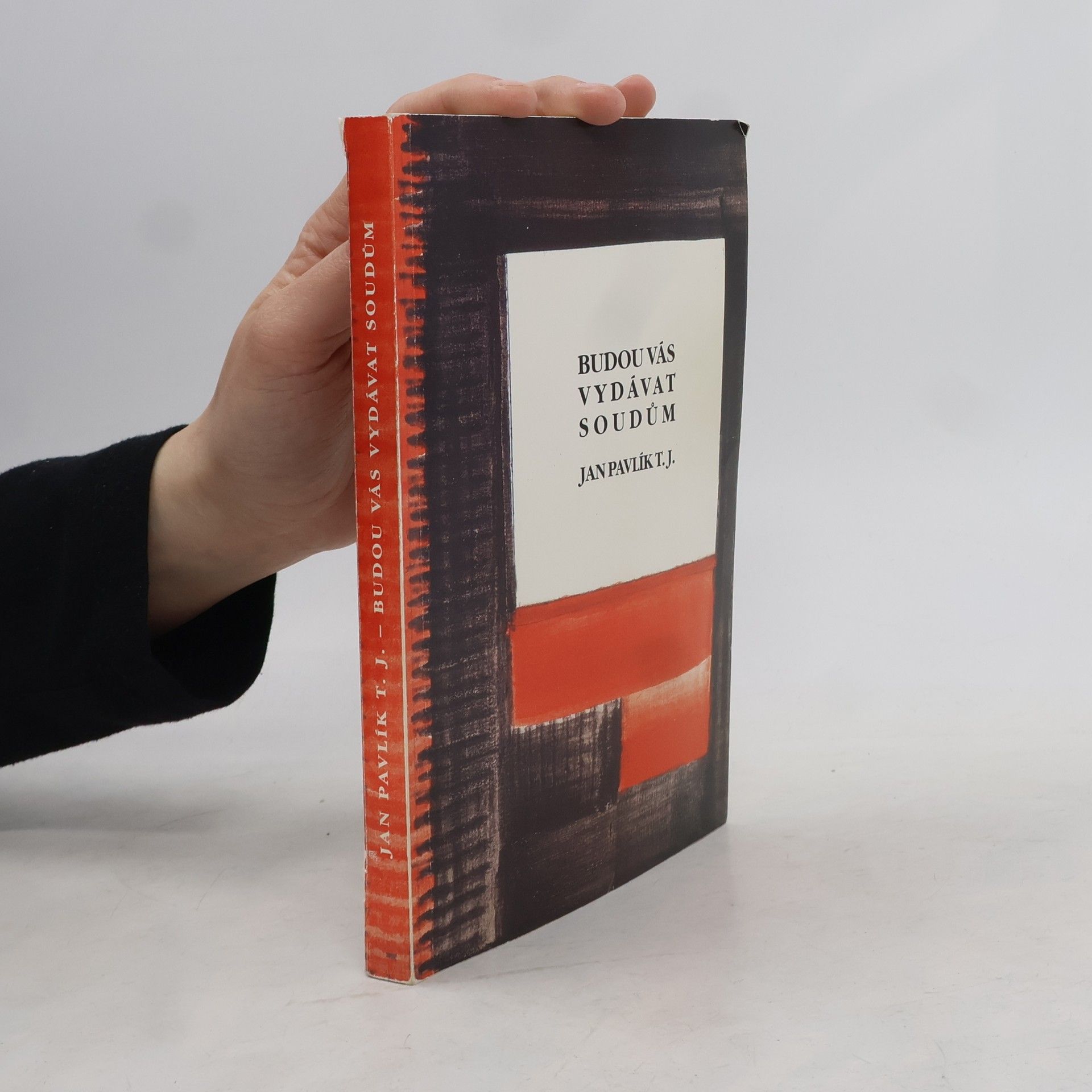 Budou vás vydávat soudům