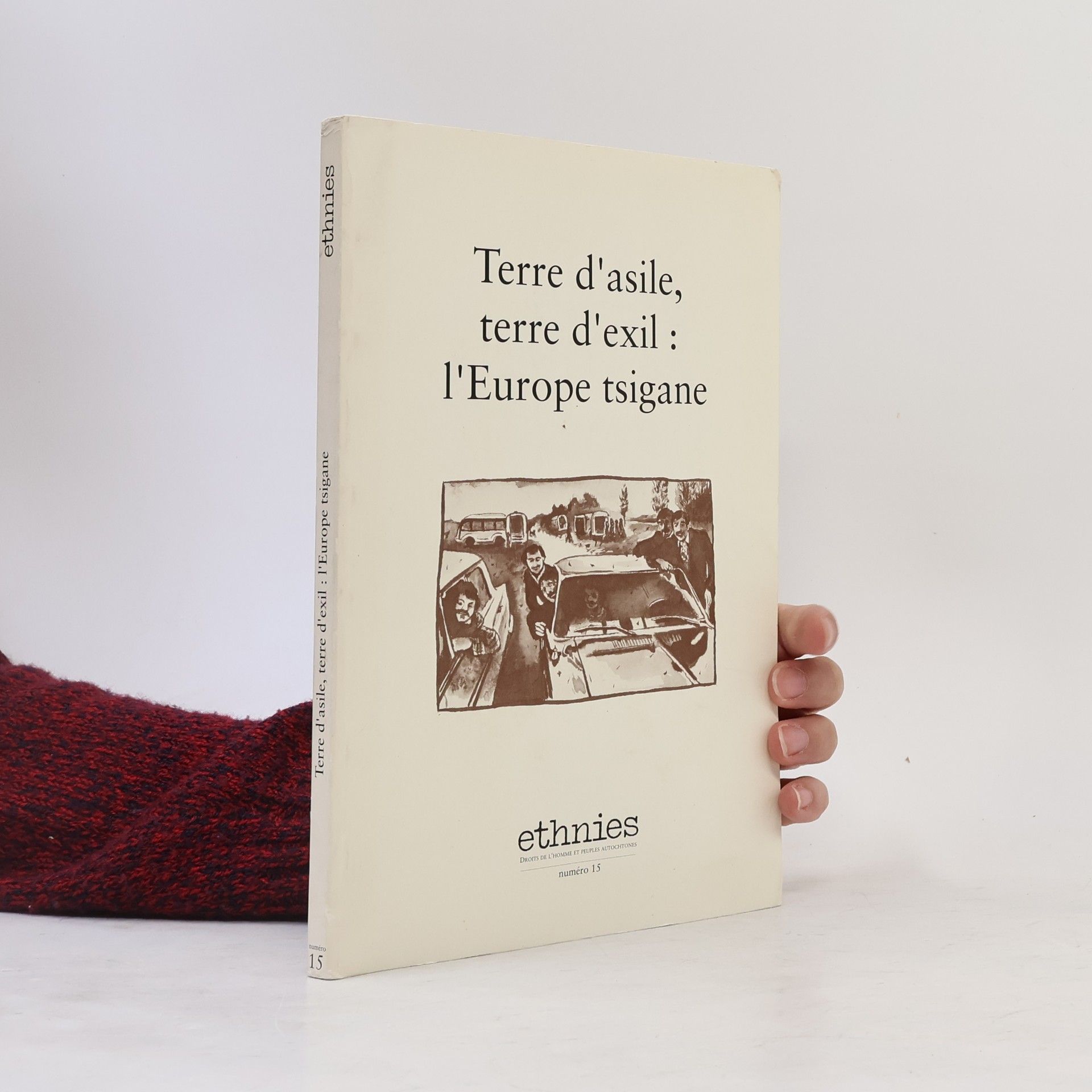 Kolektiv autorů Terre d'asile, terre d'exil. l'Europe tsigane