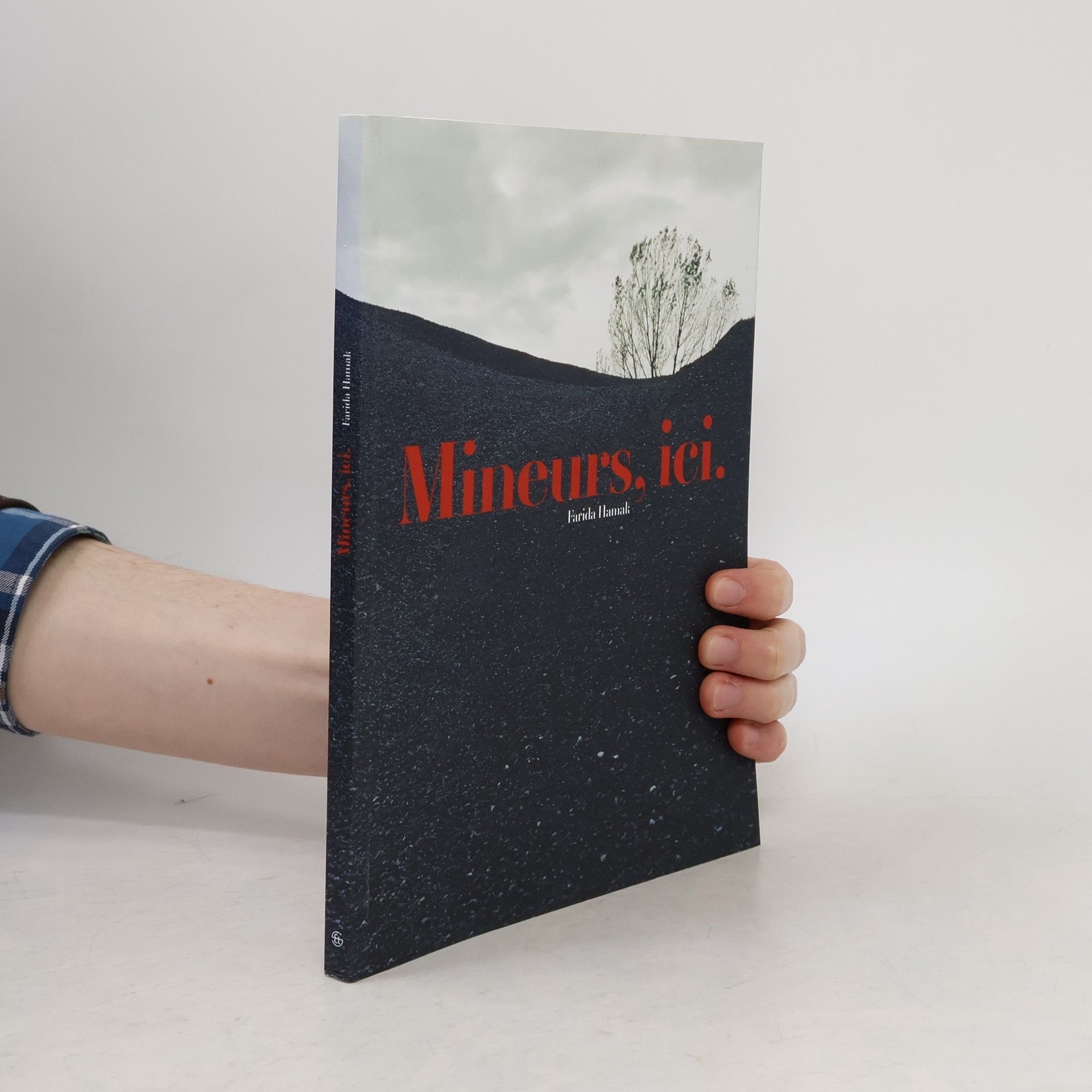 Farida Hamak Mineurs, ici