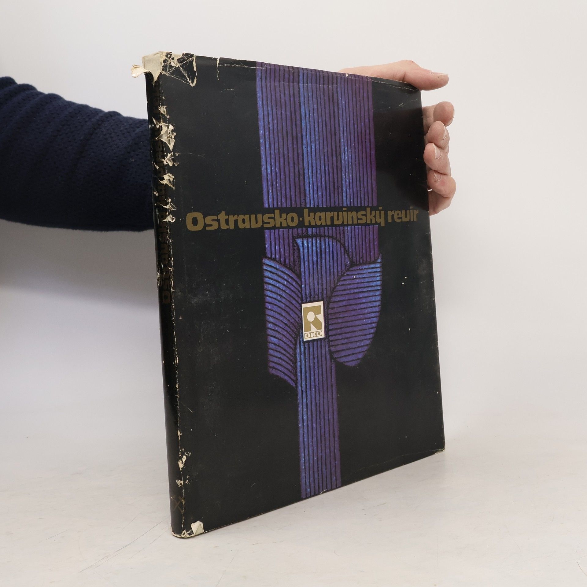 Autorenkollektiv Ostravsko - karvinský revír