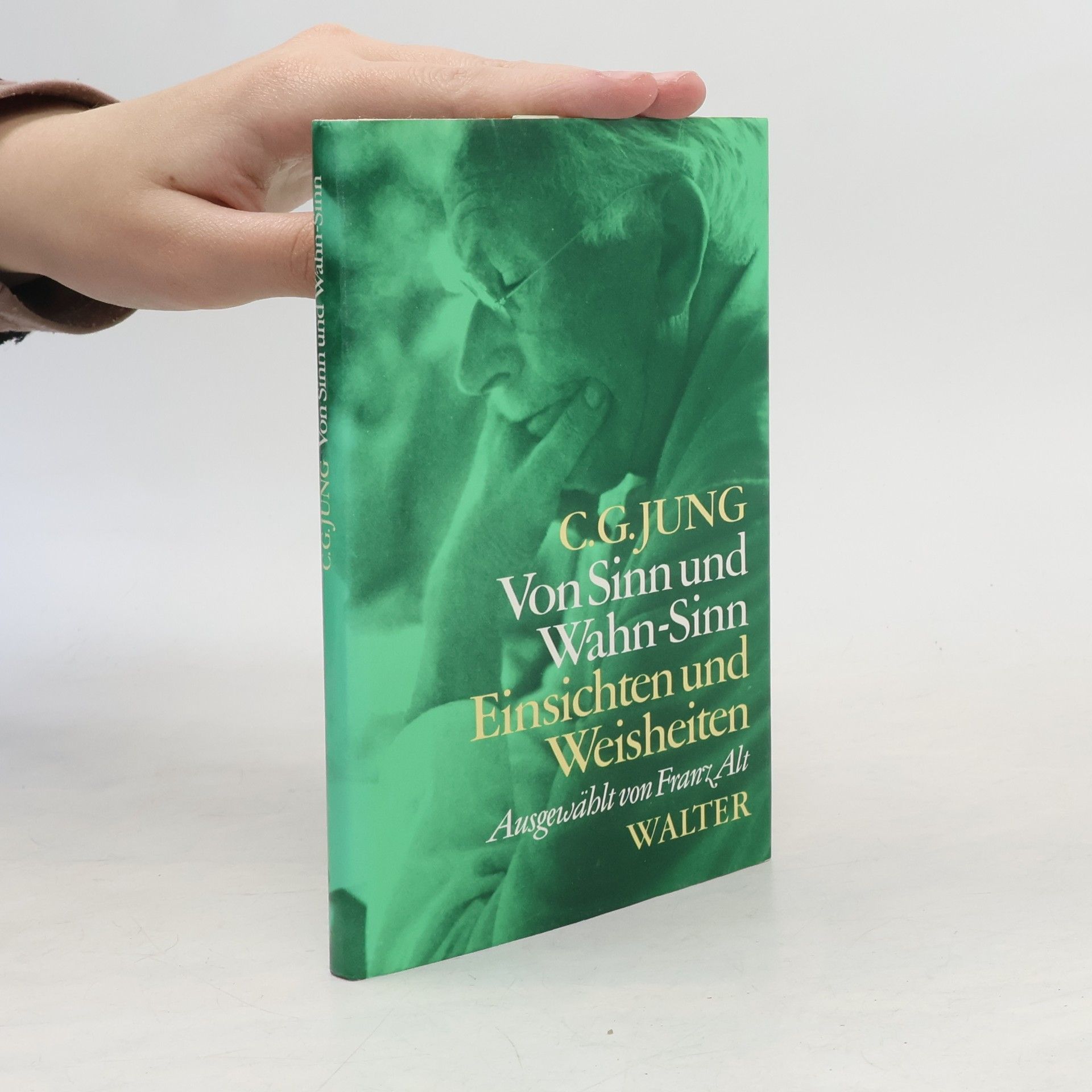 Carl Jung Von Sinn und Wahn-Sinn