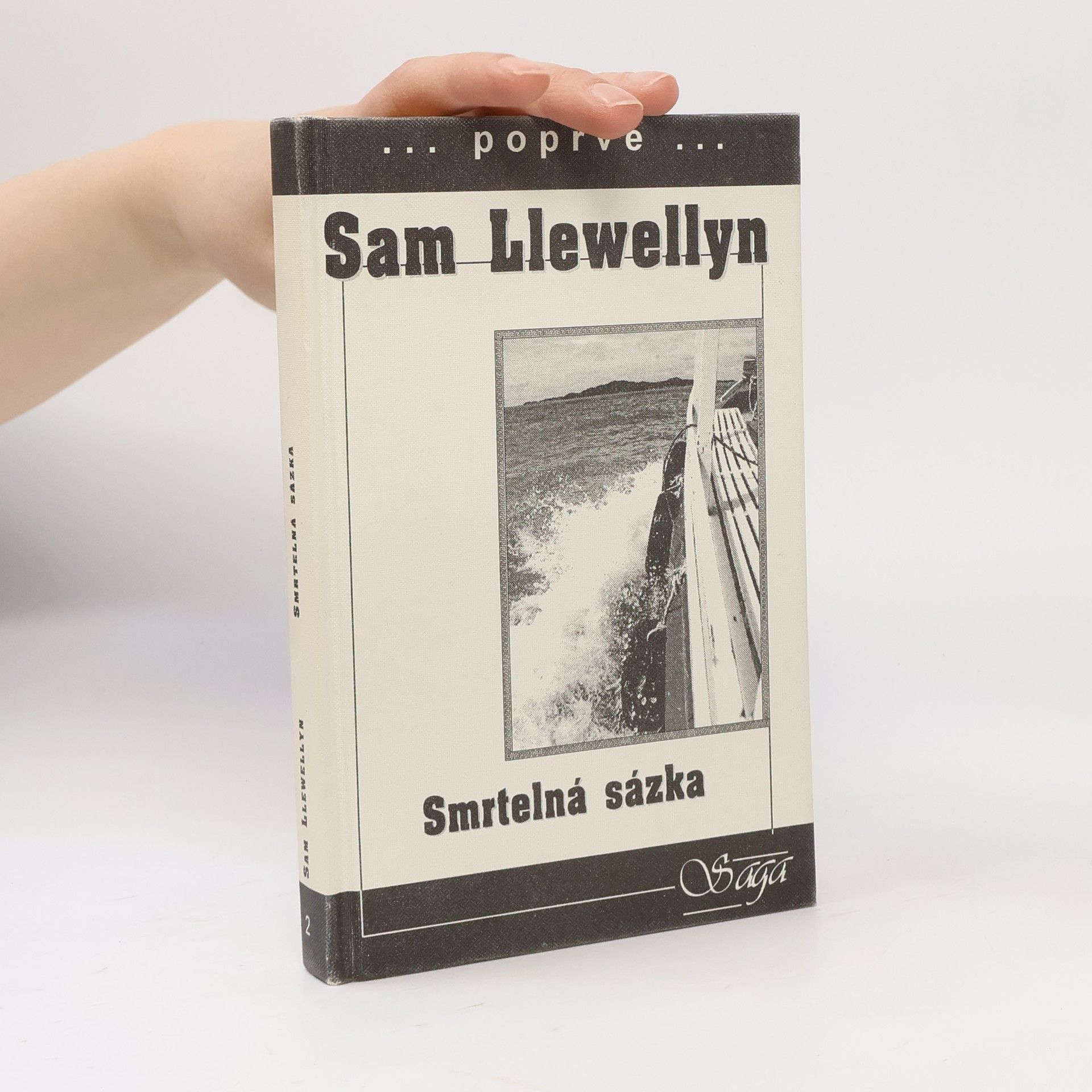 Sam Llewellyn Smrtelná sázka