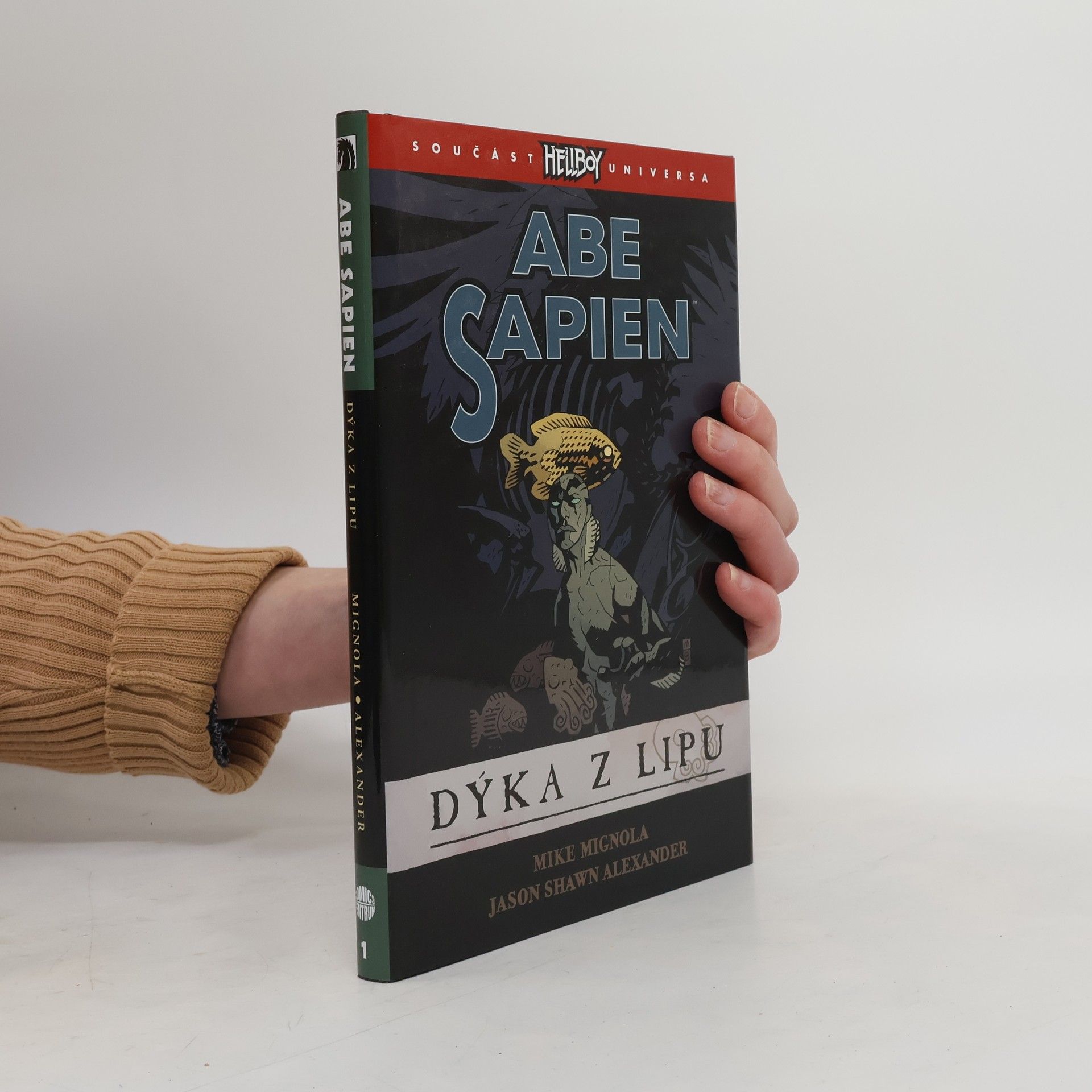 Mike Mignola Dýka z Lipu