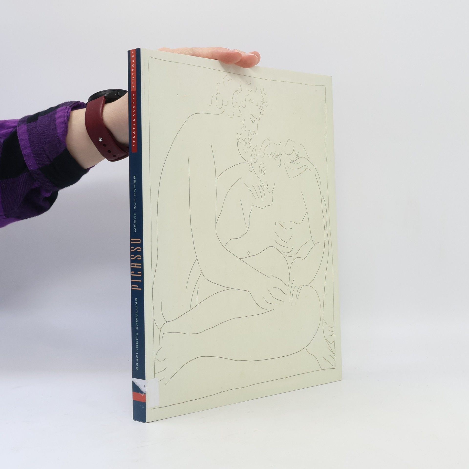 Kolektiv autorů Pablo Picasso. Werke auf Papier