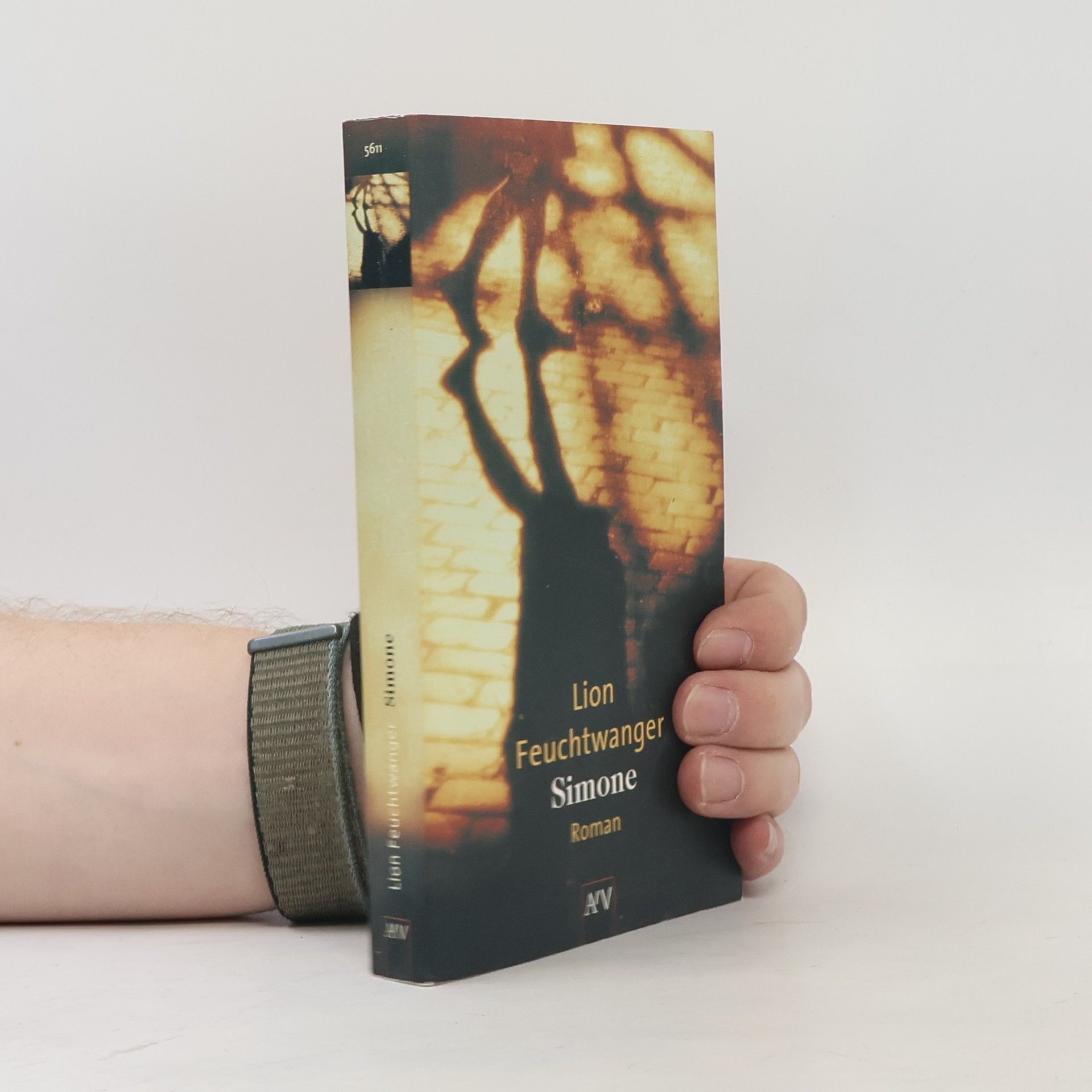 Lion Feuchtwanger Simone