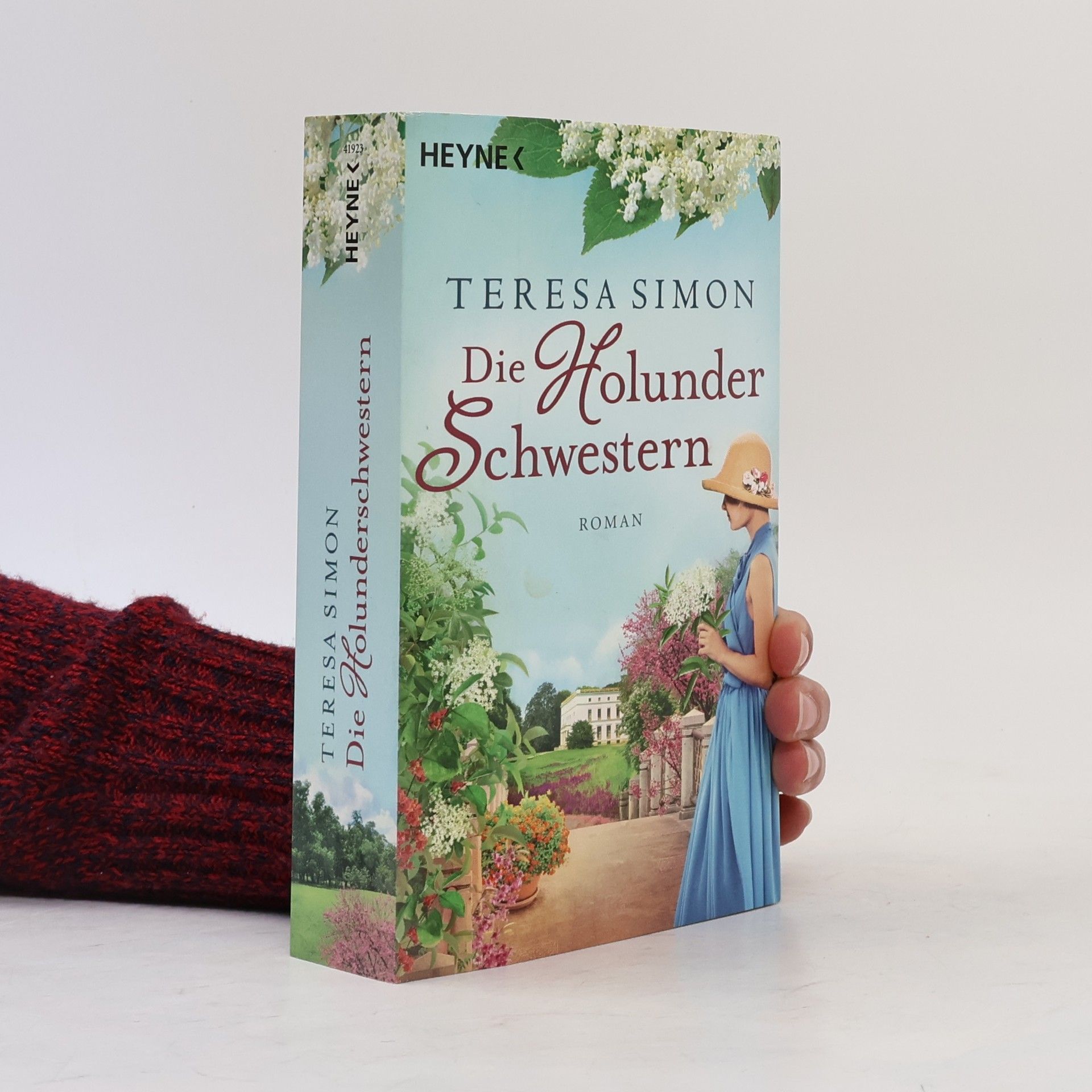 Brigitte Riebeová Die Holunderschwestern