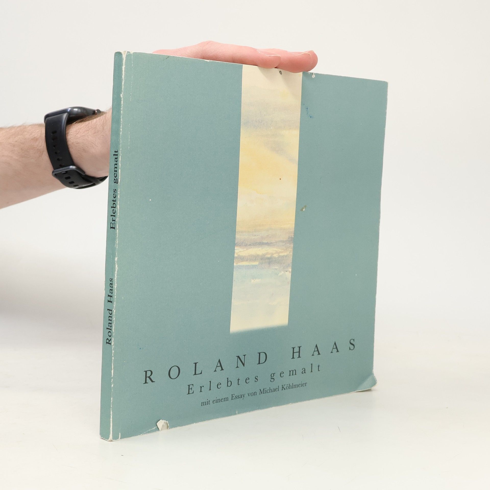 Roland Haas Erlebtes gemalt