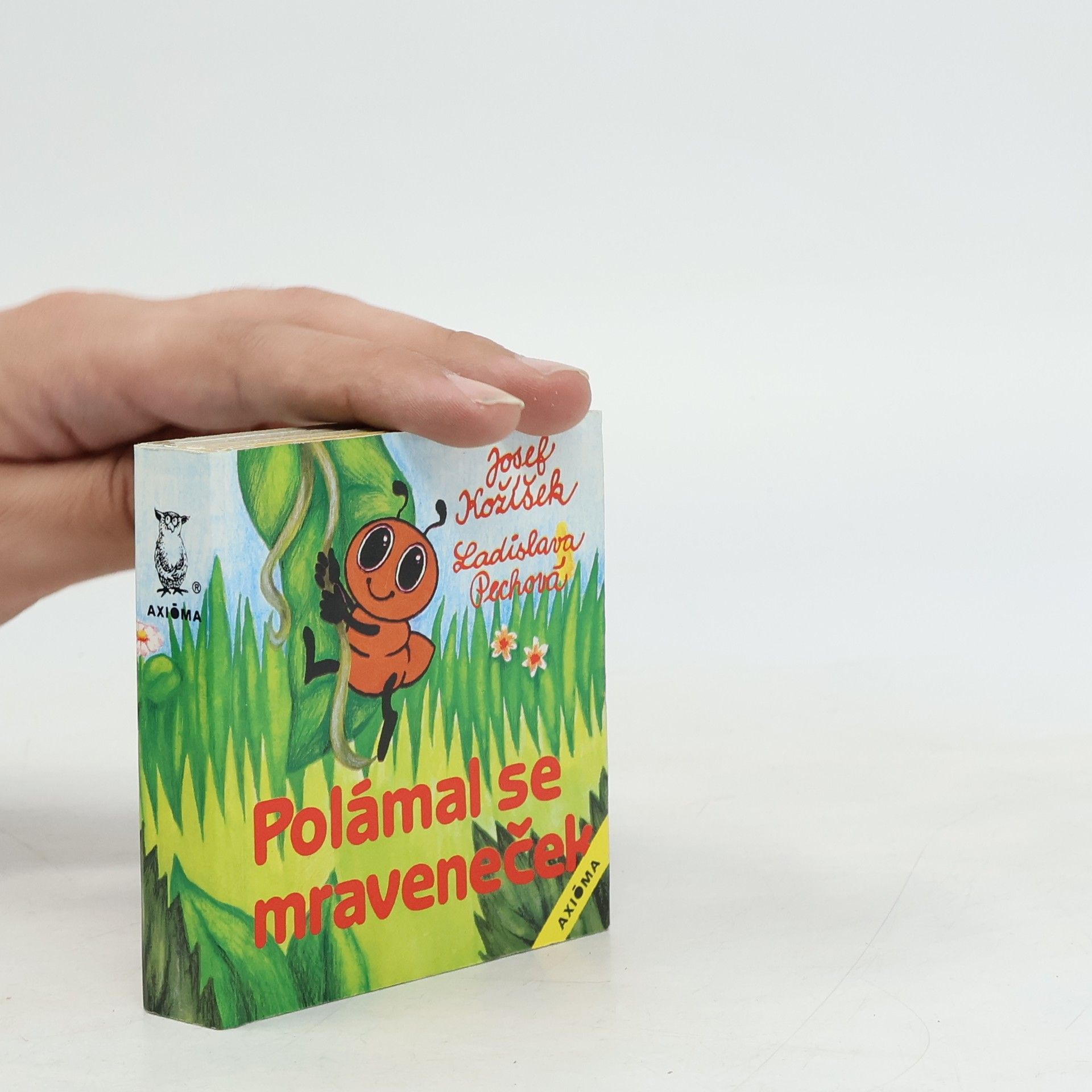 Polámal se mraveneček