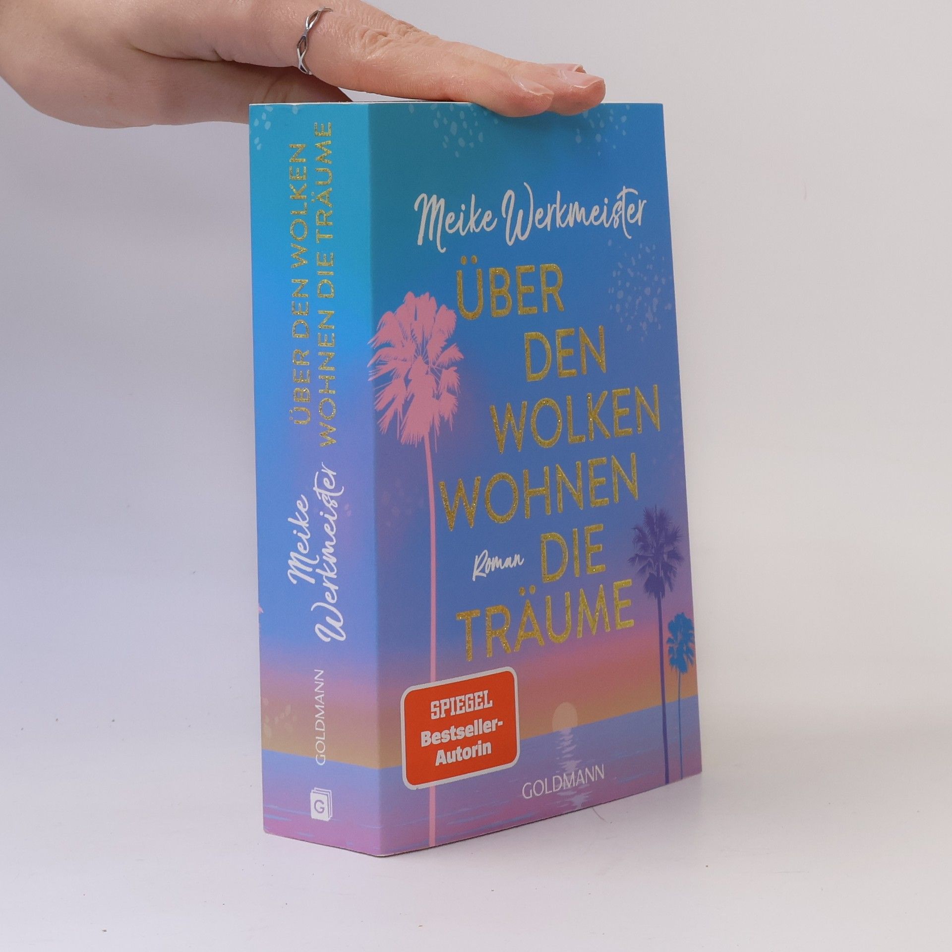 Meike Werkmeister Über den Wolken wohnen die Träume