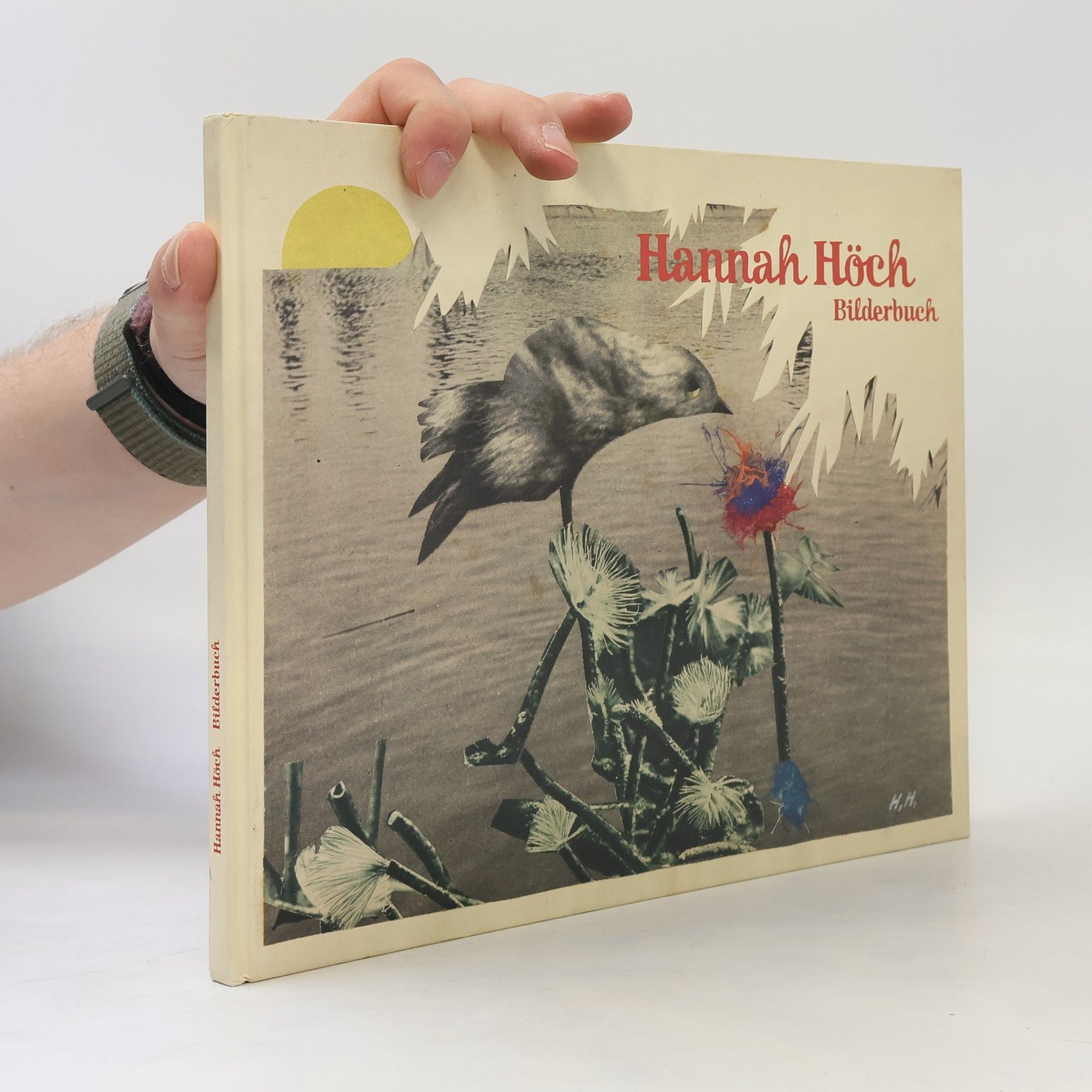 Hannah Hoch Bilderbuch