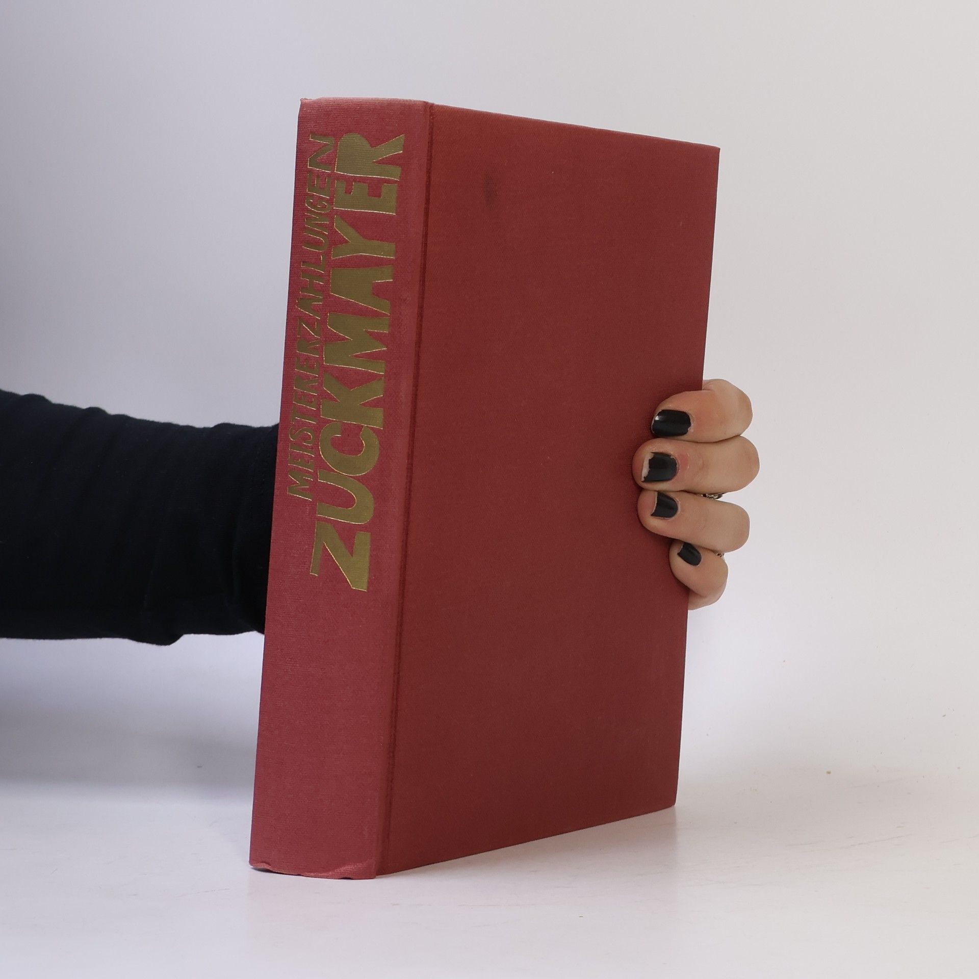 Kolektív autorov Meistererzählungen