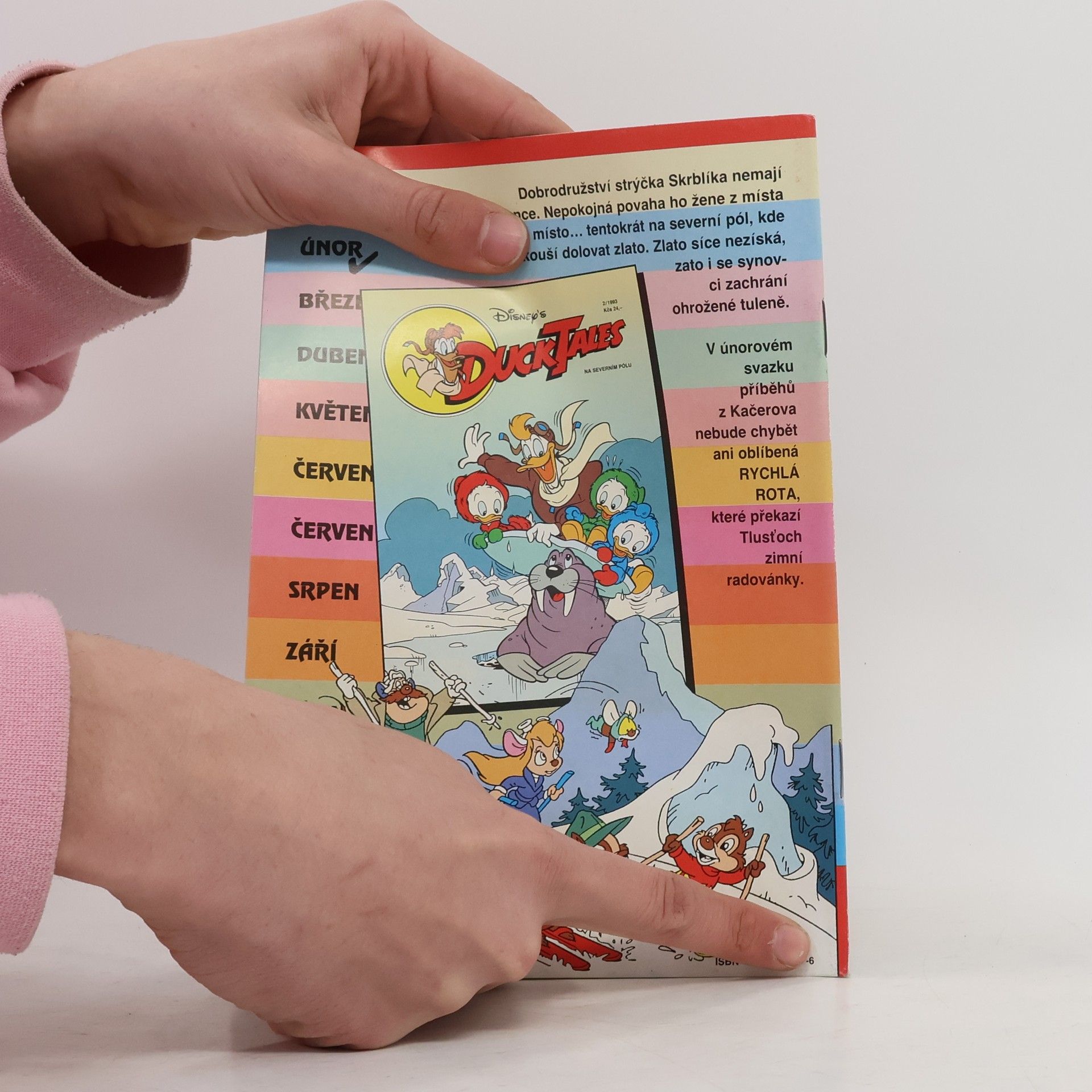 Kolektiv autorů Duck Tales 01/1993