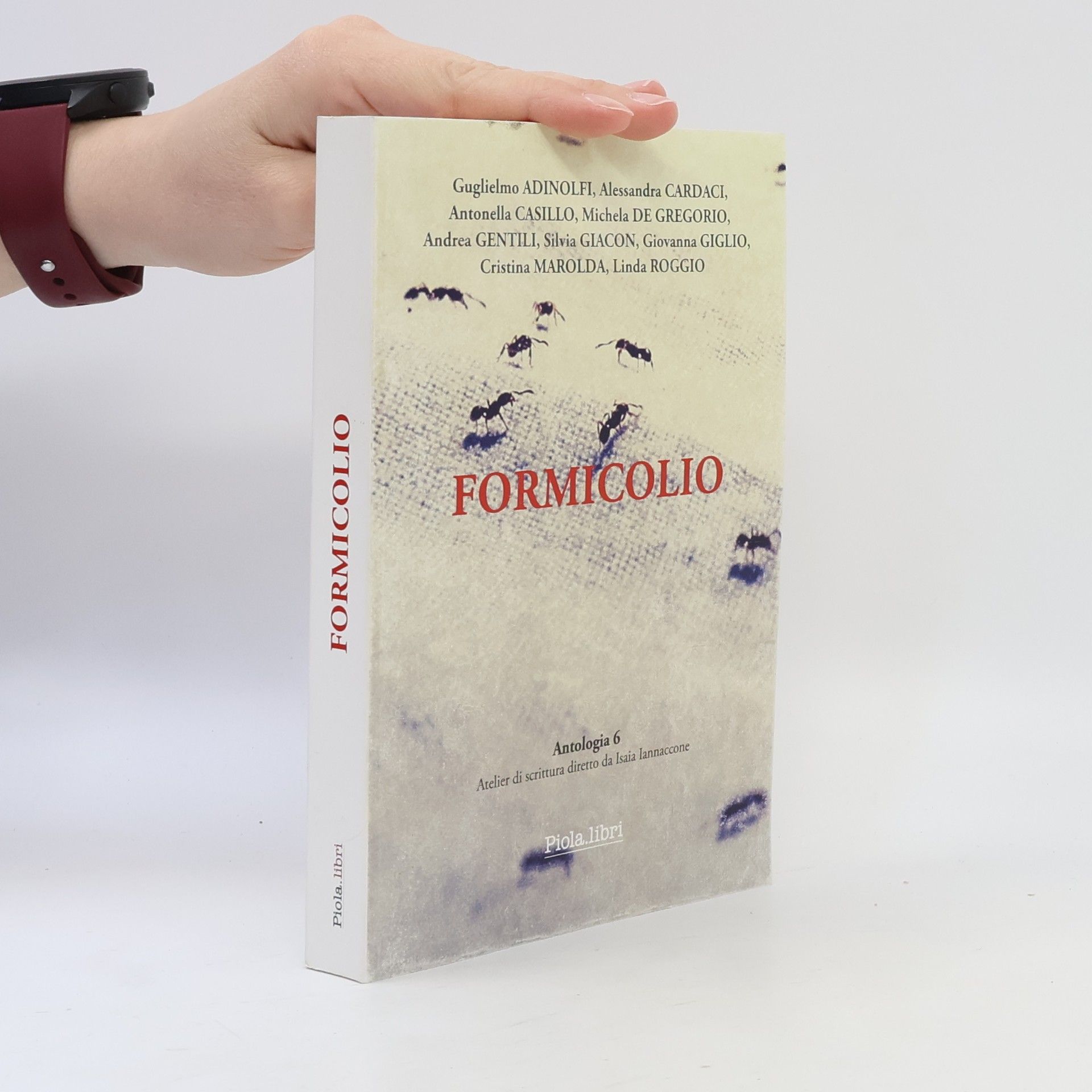 Kolektív autorov Formicolio: Antologia 6