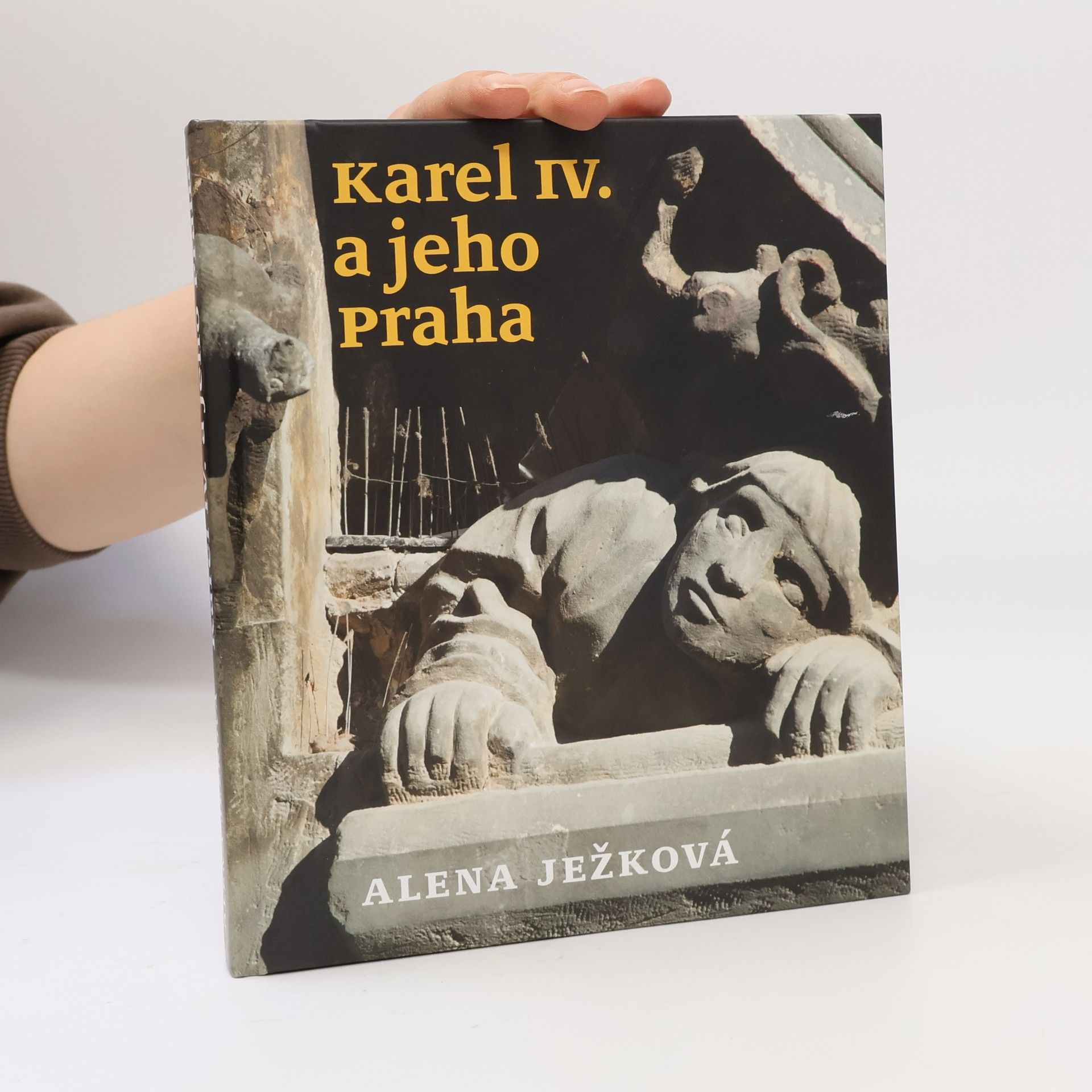 Jiří Chalupa Karel IV. a jeho Praha