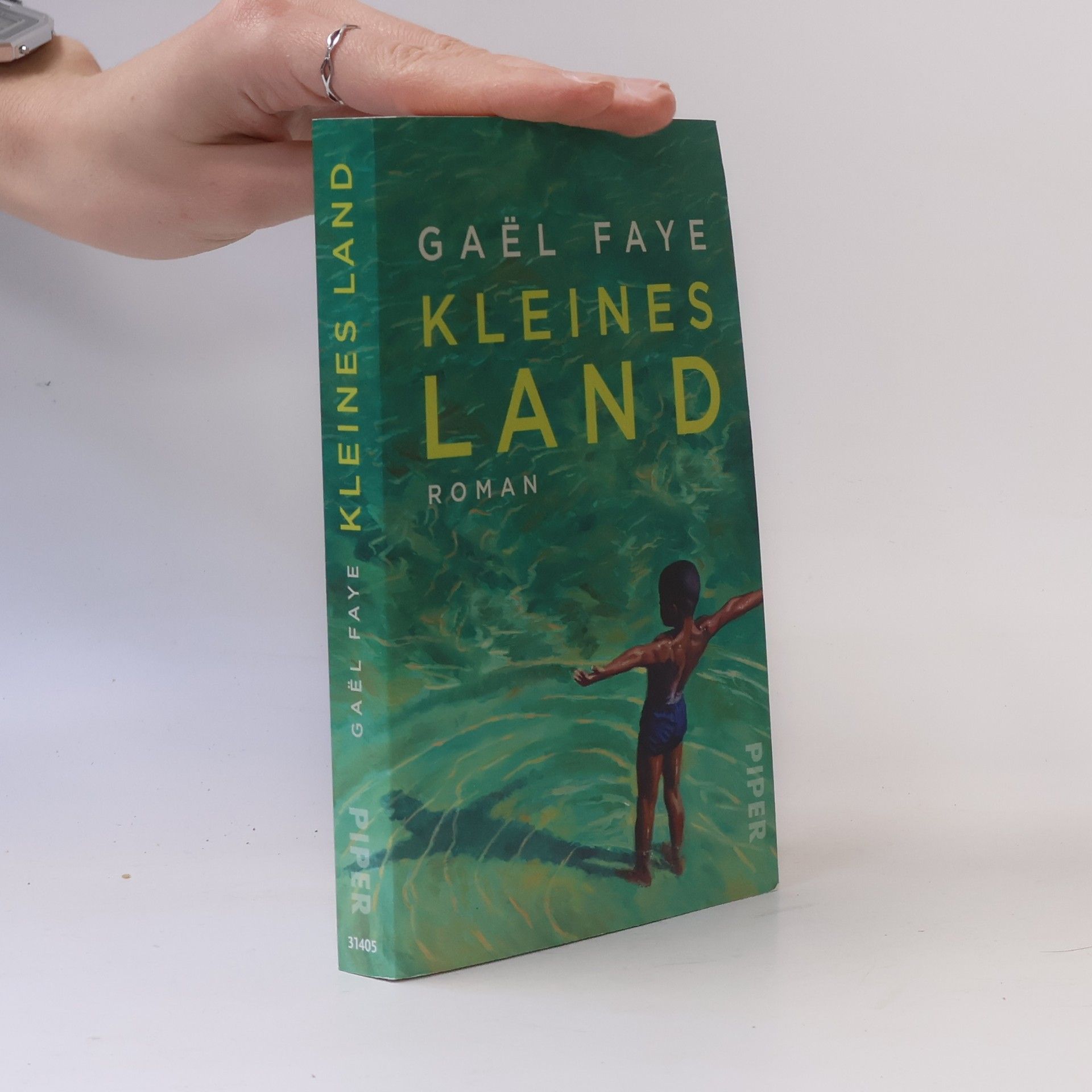 Gaël Faye Kleines Land