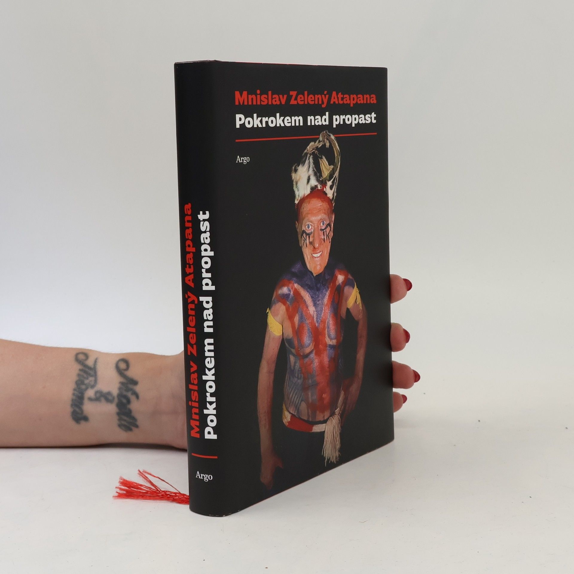 Mnislav Zelený Pokrokem nad propast