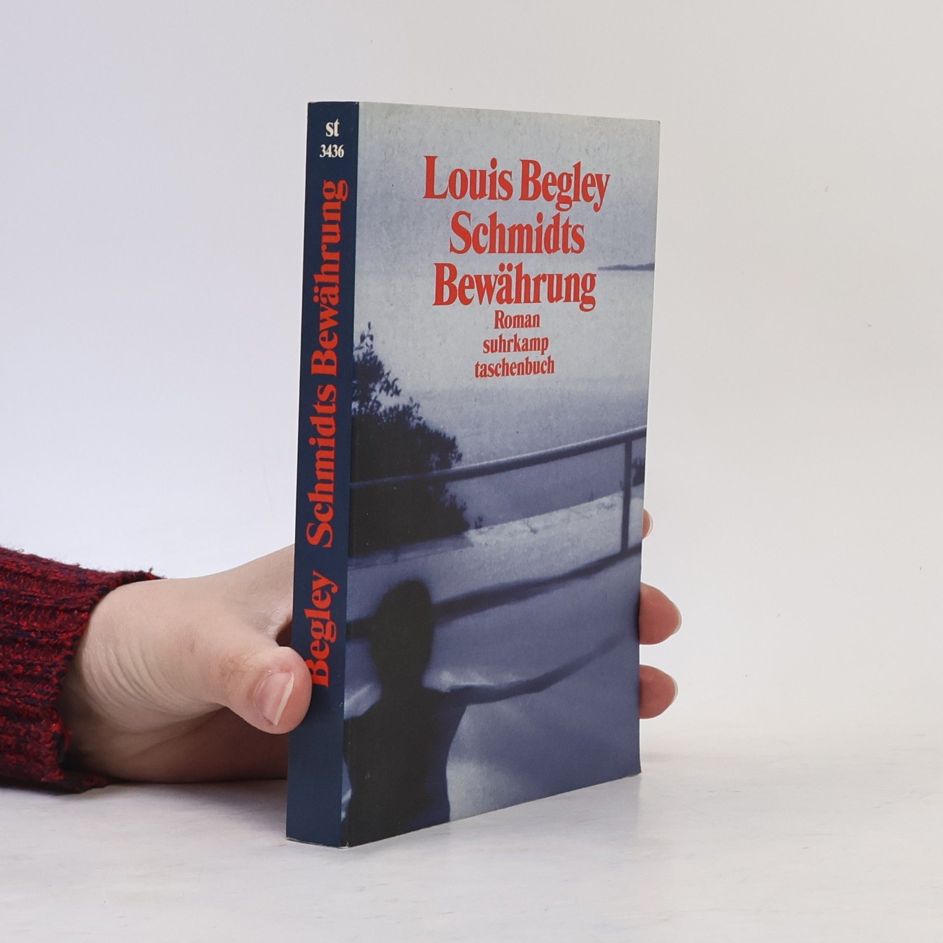 Louis Begley Schmidts Bewährung