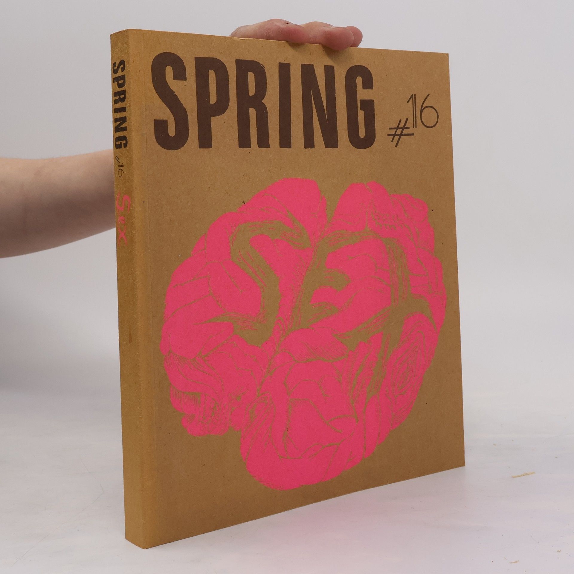 Kolektiv autorů SPRING #16: Sex