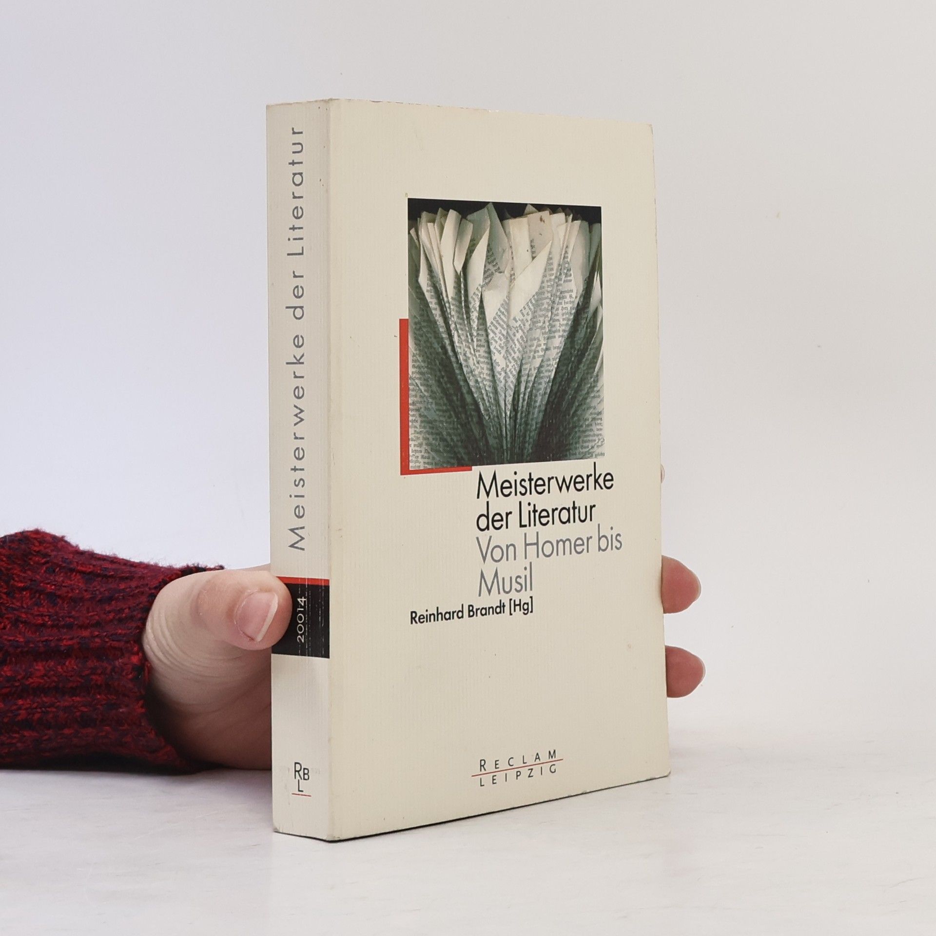 Reinhard Brandt Meisterwerke der Literatur