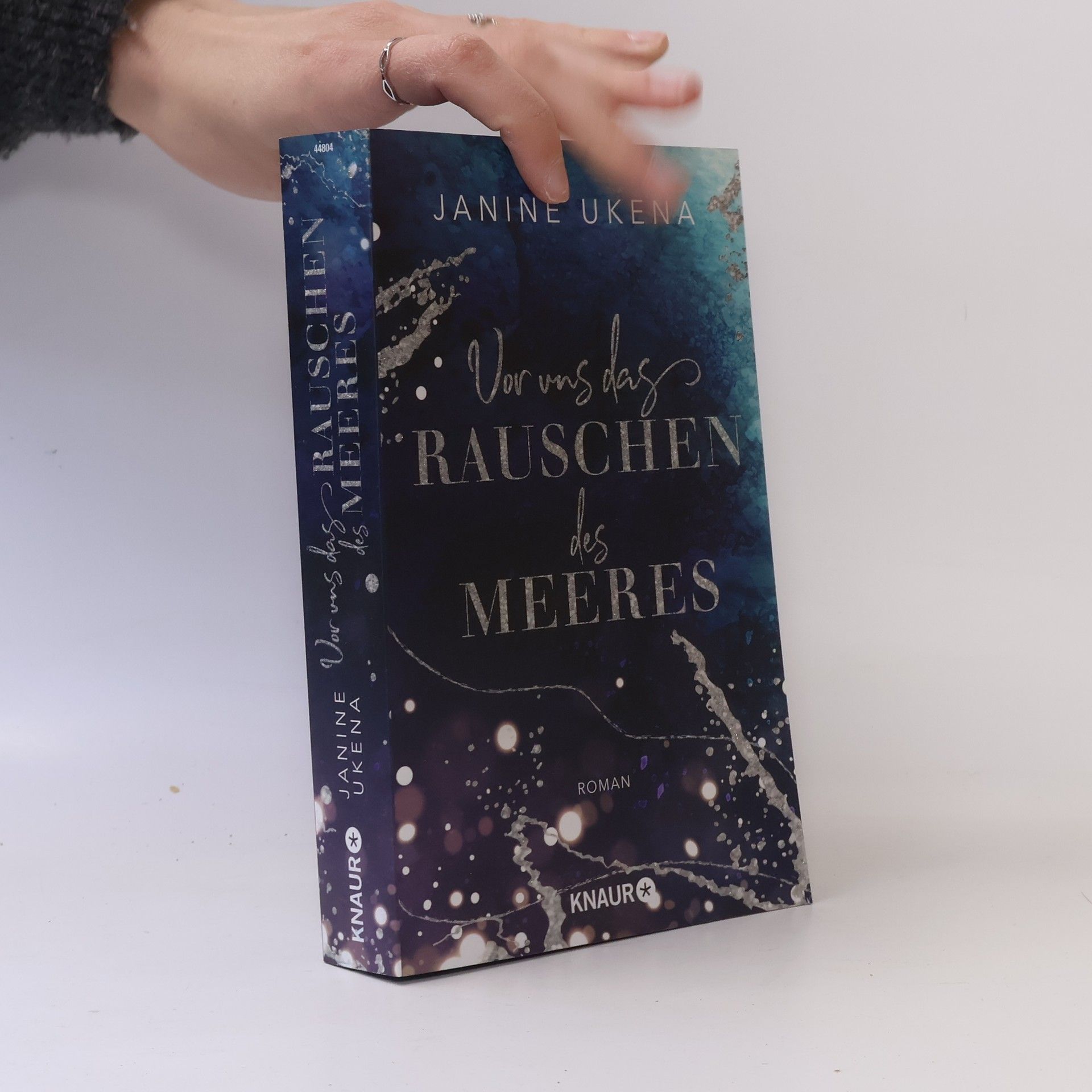 Janine Ukena Vor uns das Rauschen des Meeres