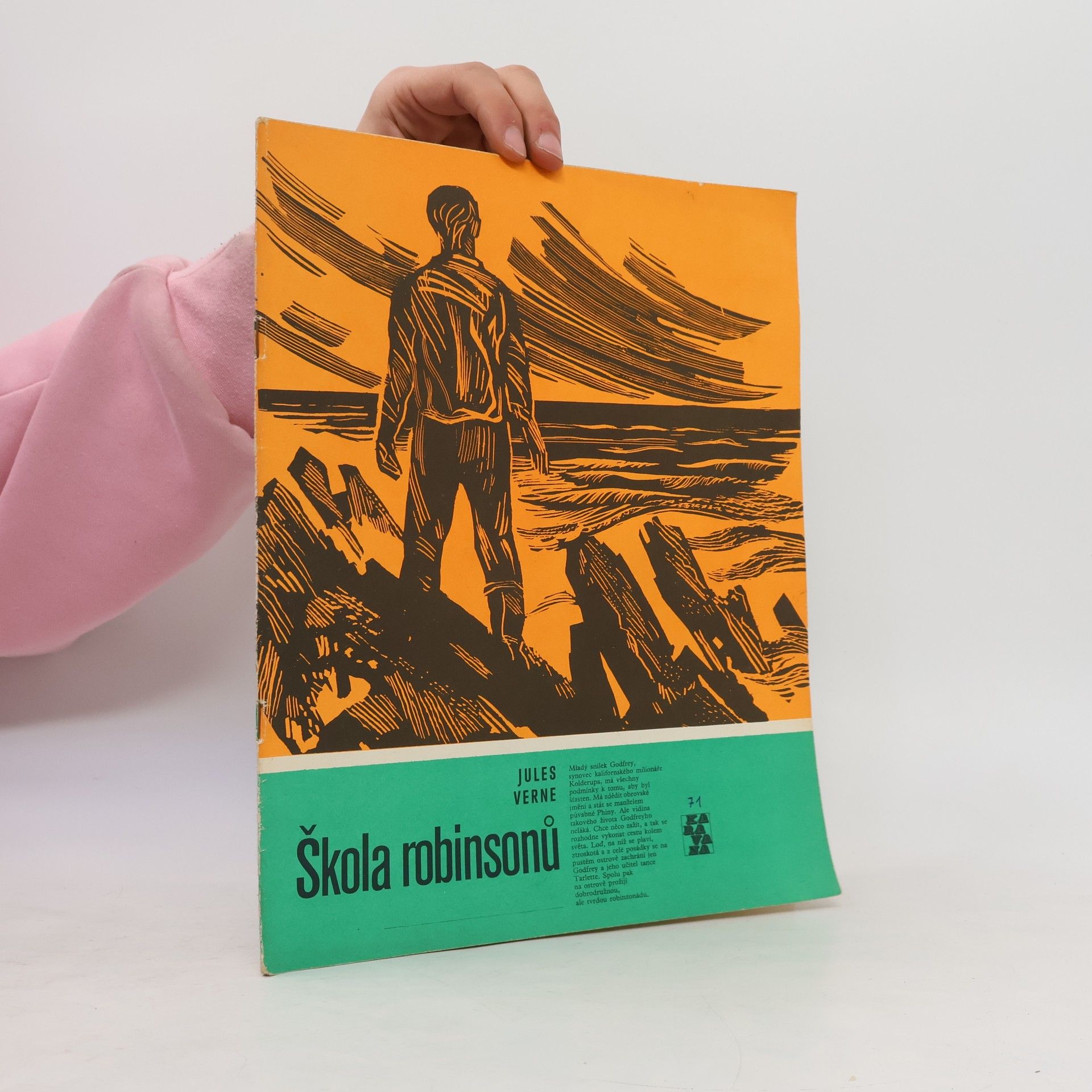 Jules Verne Škola robinsonů