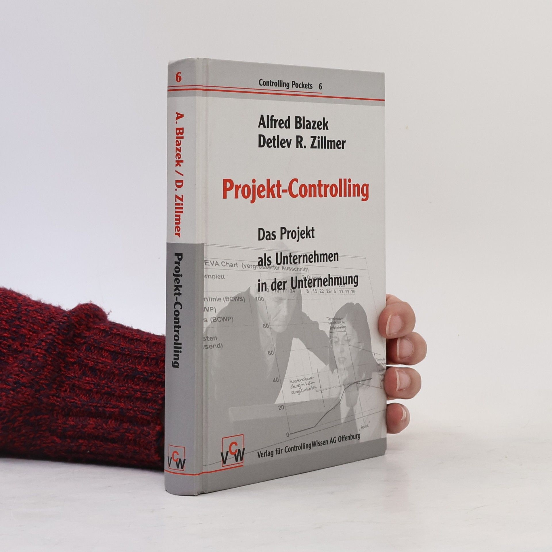 Detlev R. Zillmer Management Pockets - 6: Projekt-Controlling