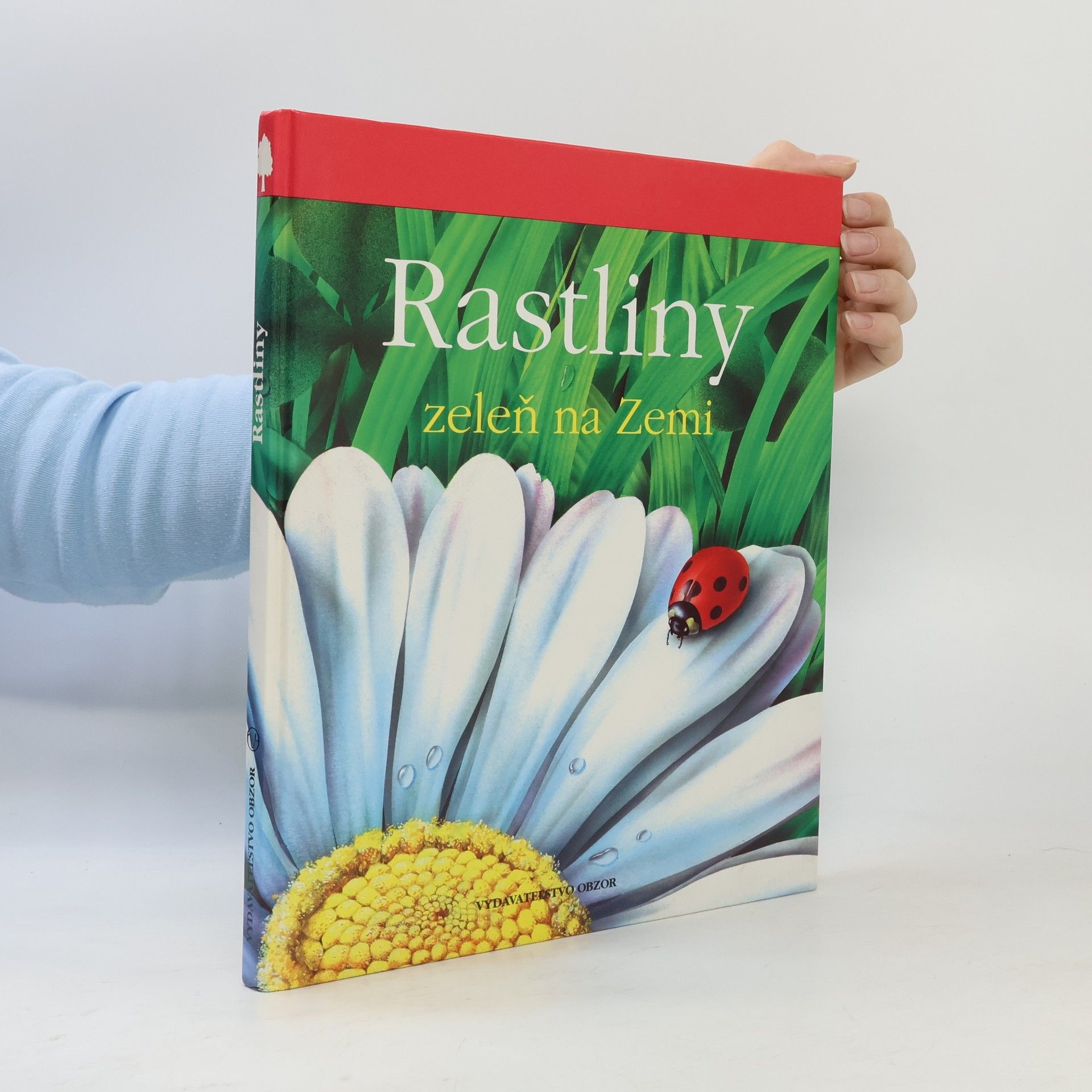 Various authors Rastlinky zeleň na zemi