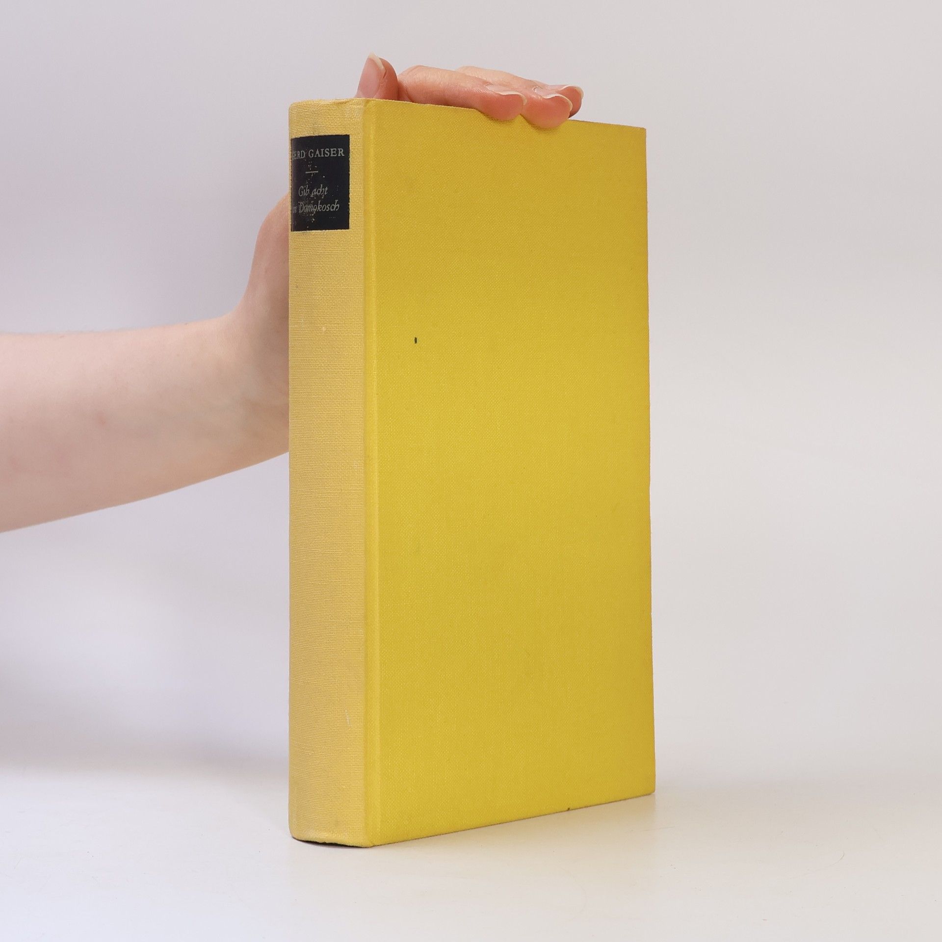 Gerd Gaiser Gib Acht in Domokosch