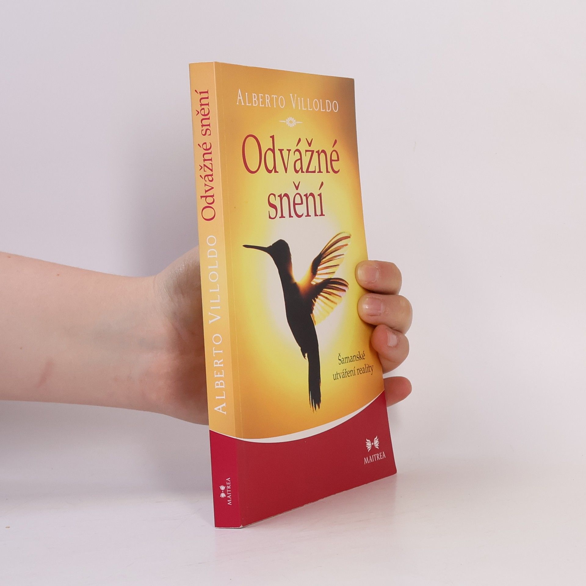 Odvážné snění : šamanské utváření reality