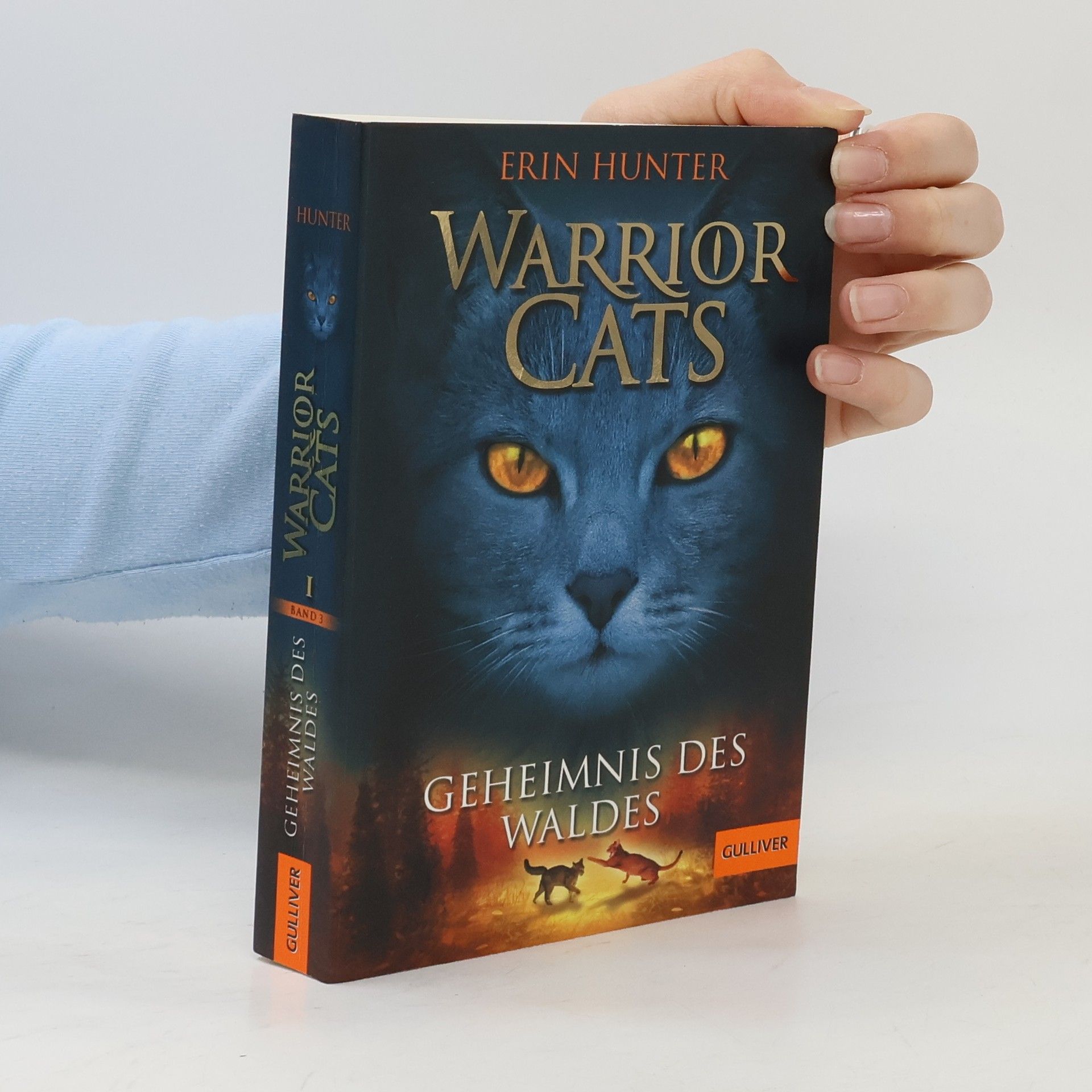Erin Hunter Warrior Cats. Geheimnis des Waldes