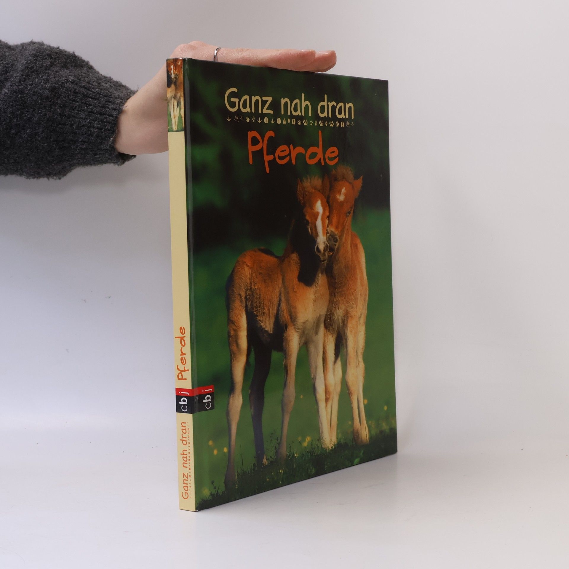 Cornelia Panzacchi Pferde