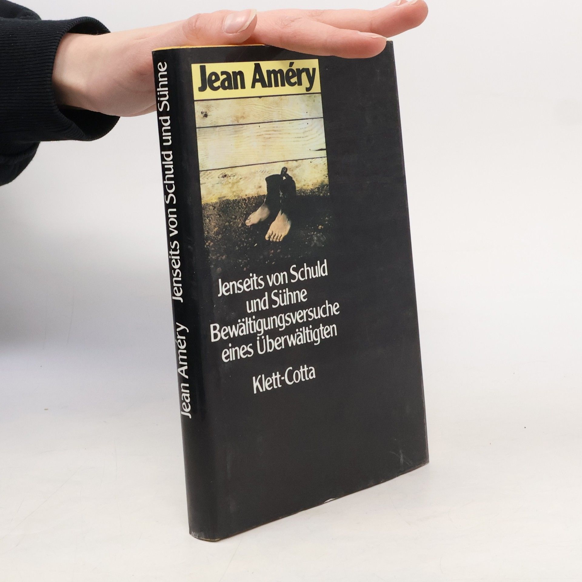 Jean Améry Jenseits von Schuld und Sühne