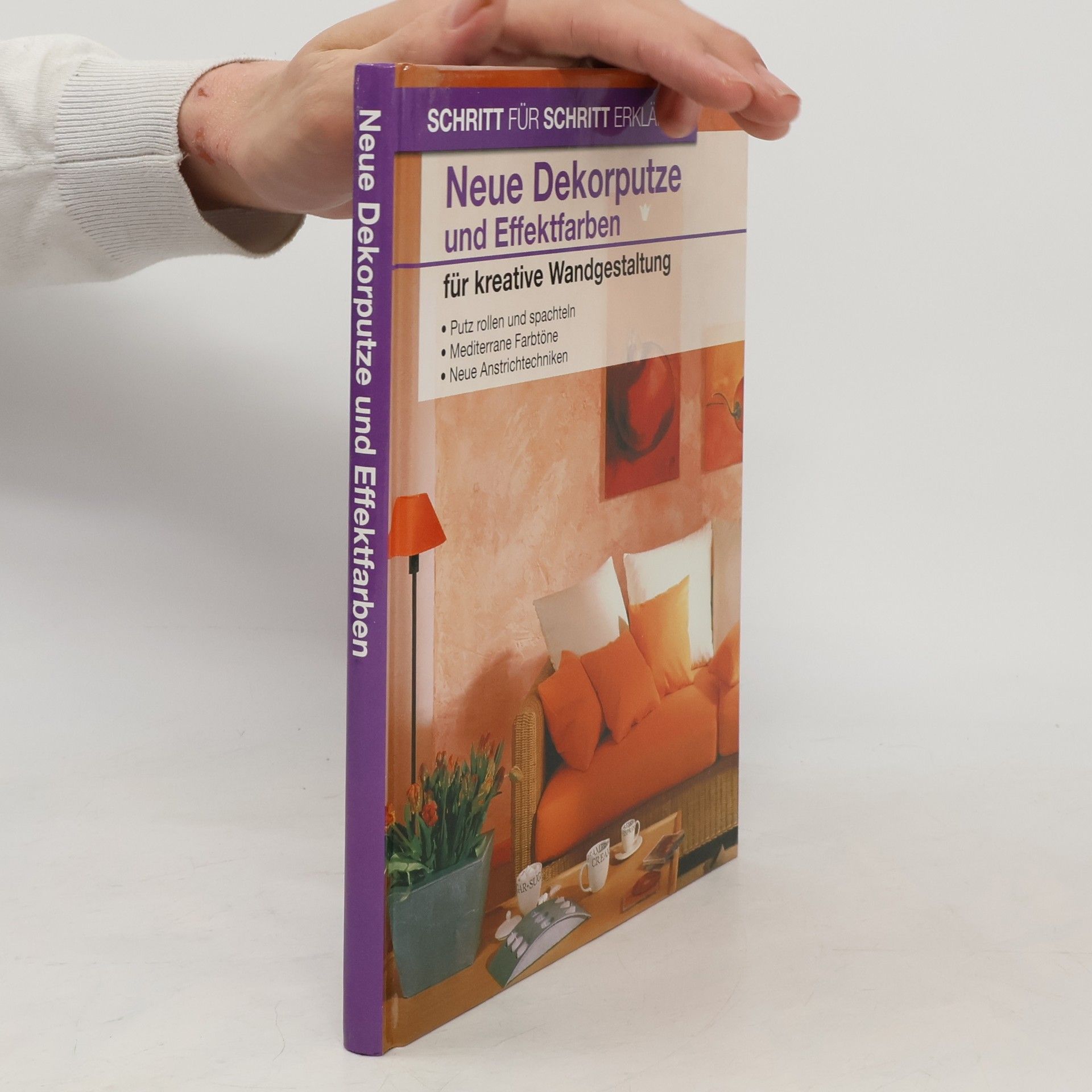 Autorenkollektiv Neue Dekorputze und Effektfarben