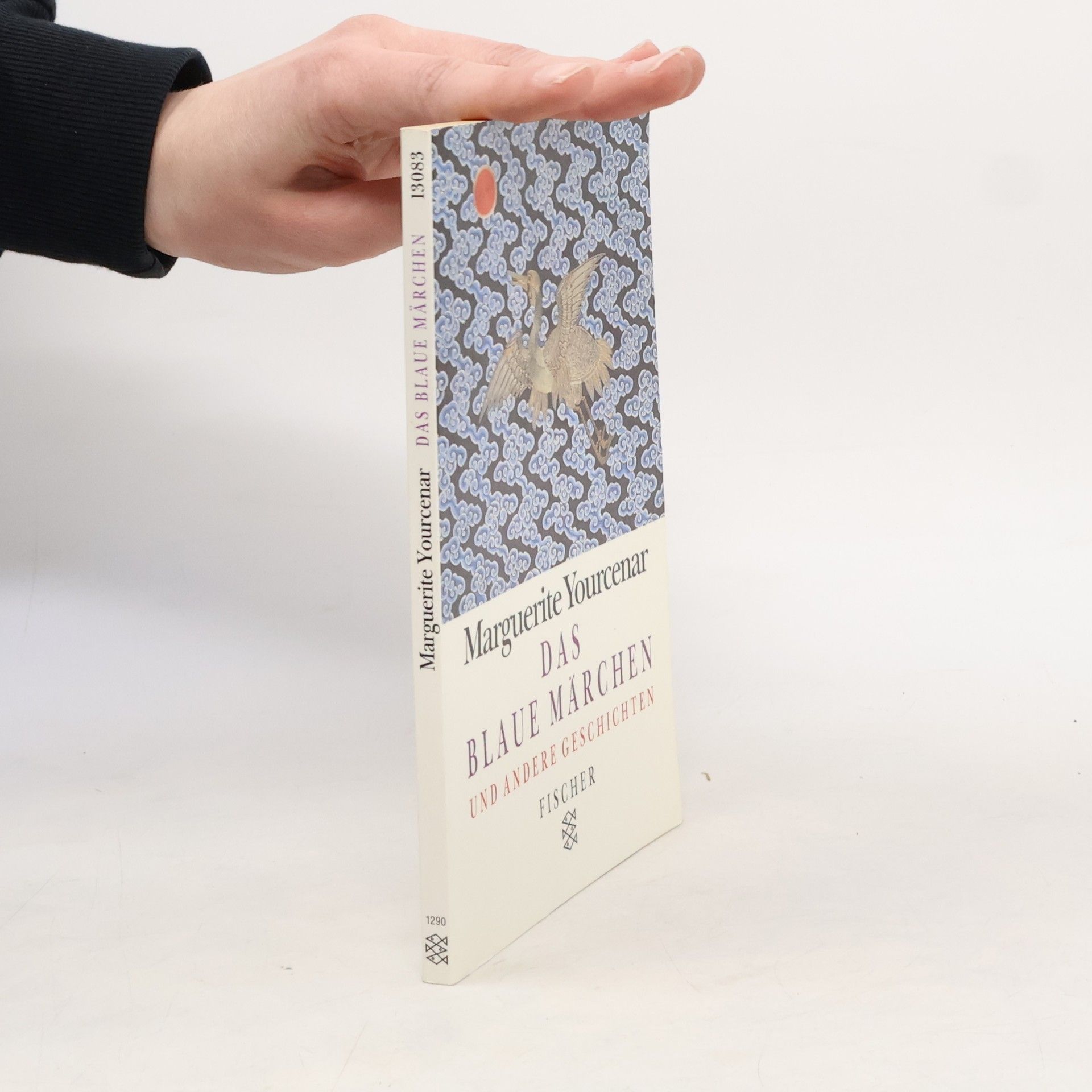 Das blaue Märchen und andere Geschichten