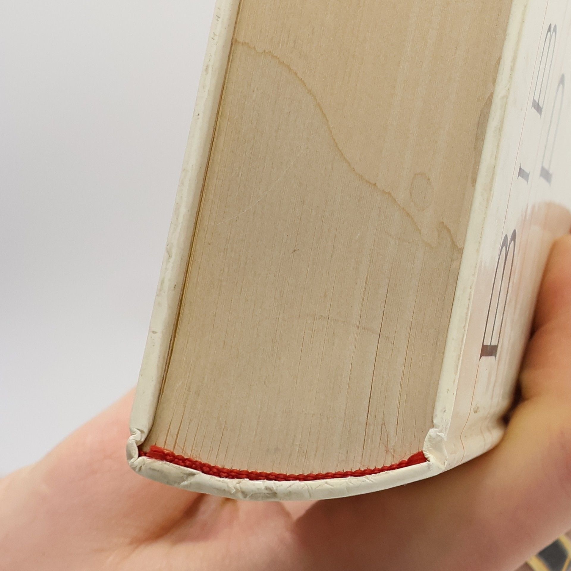 Autorenkollektiv Bibliotheca Palatina