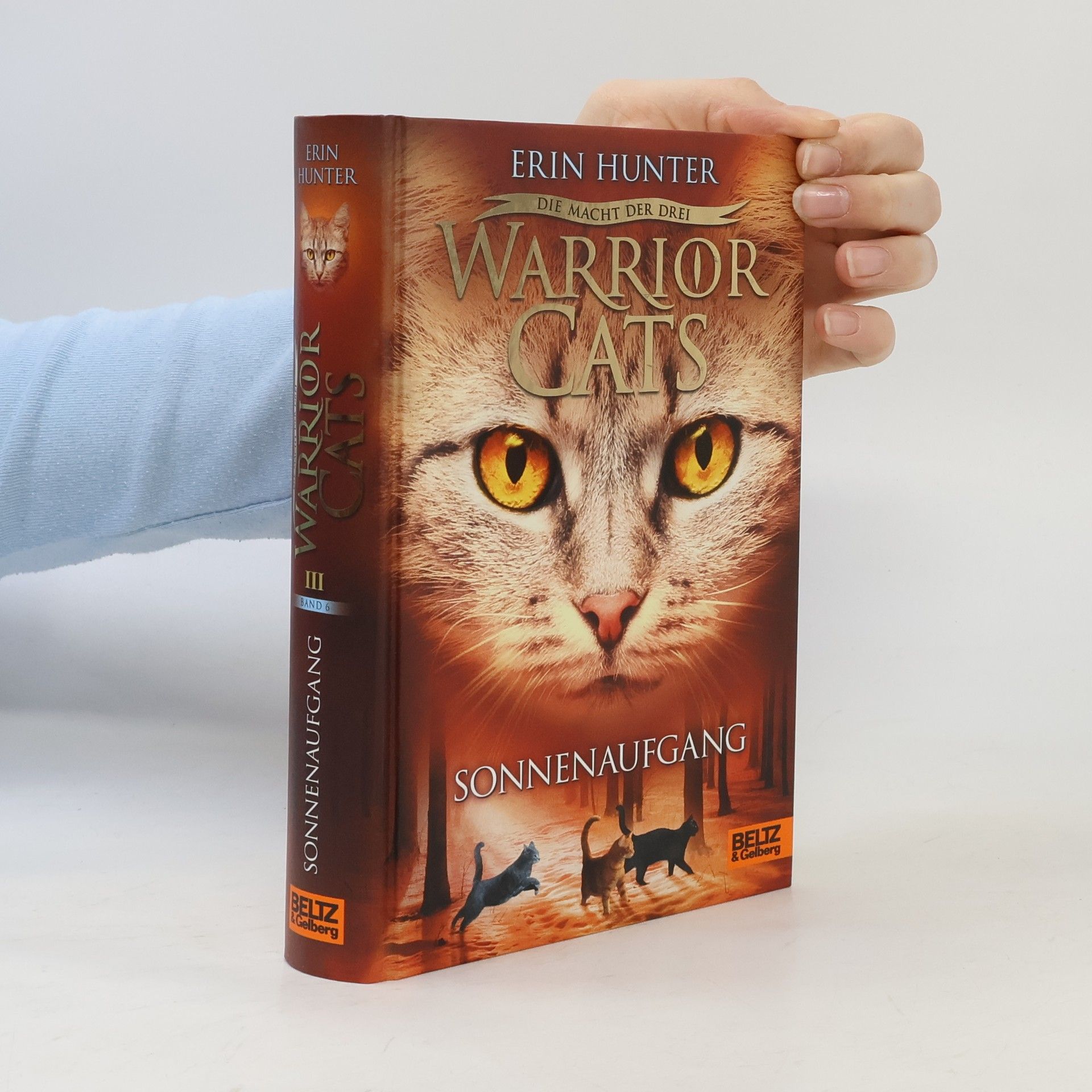 Erin Hunter Warrior Cats. Sonnenaufgang