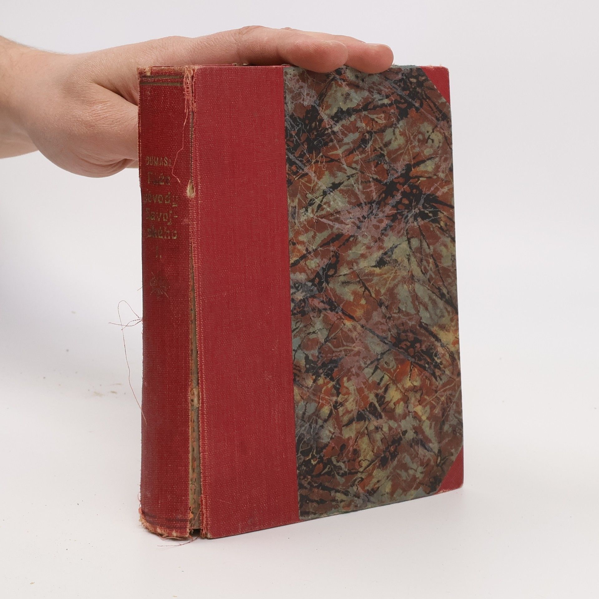 Albína Kohoutová Páže vévody Savojského. 1. díl.