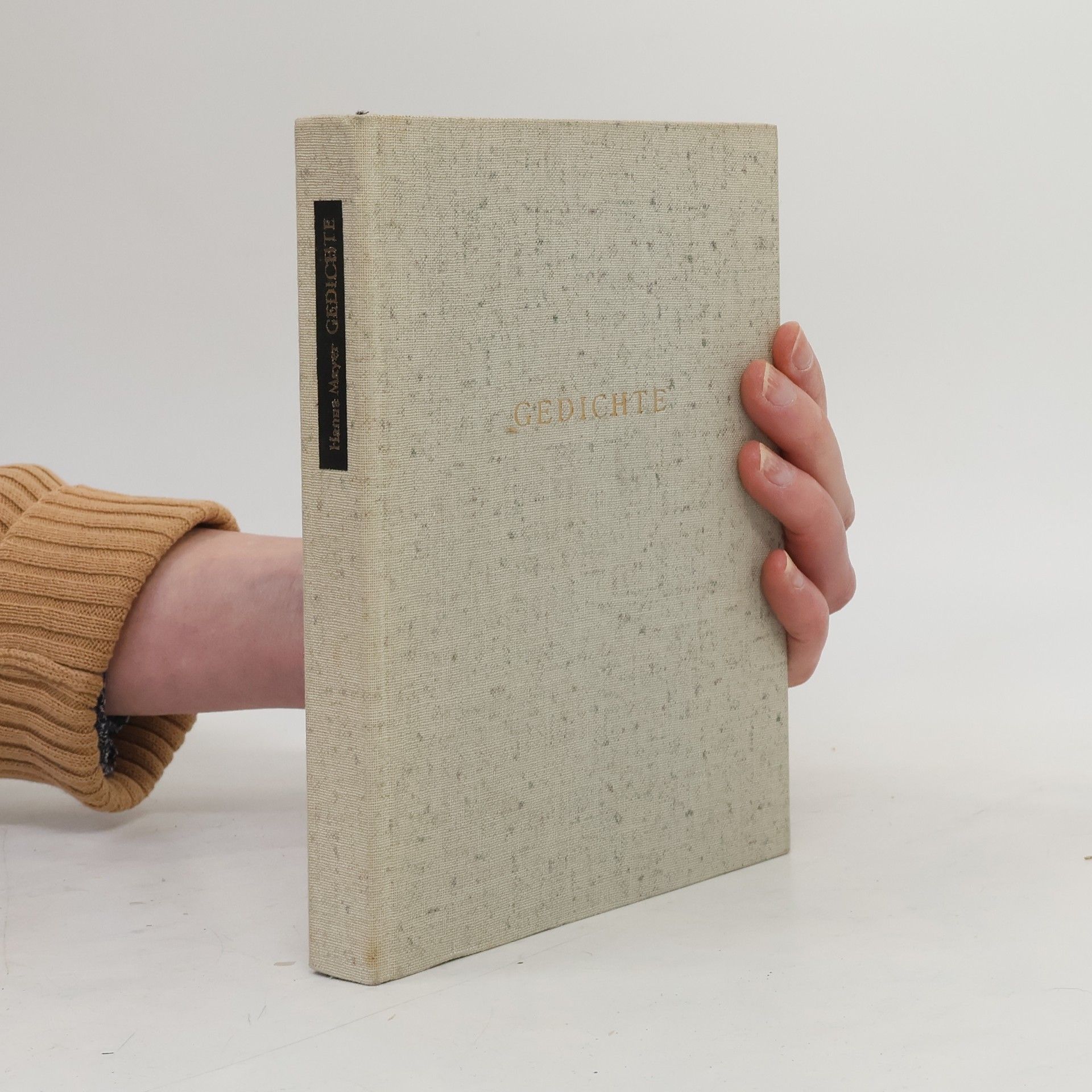 Hanns Mayer Gedichte